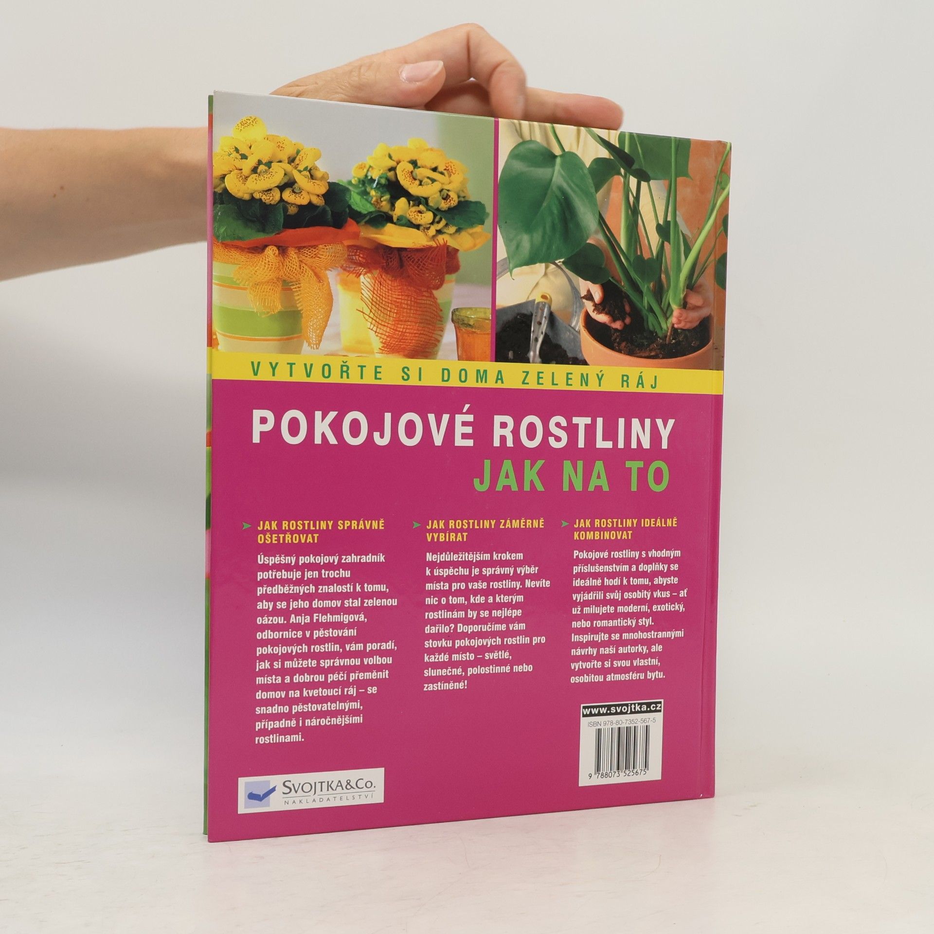 Anja Flehmig Pokojové rostliny: Krok za krokem k zelenému ráji