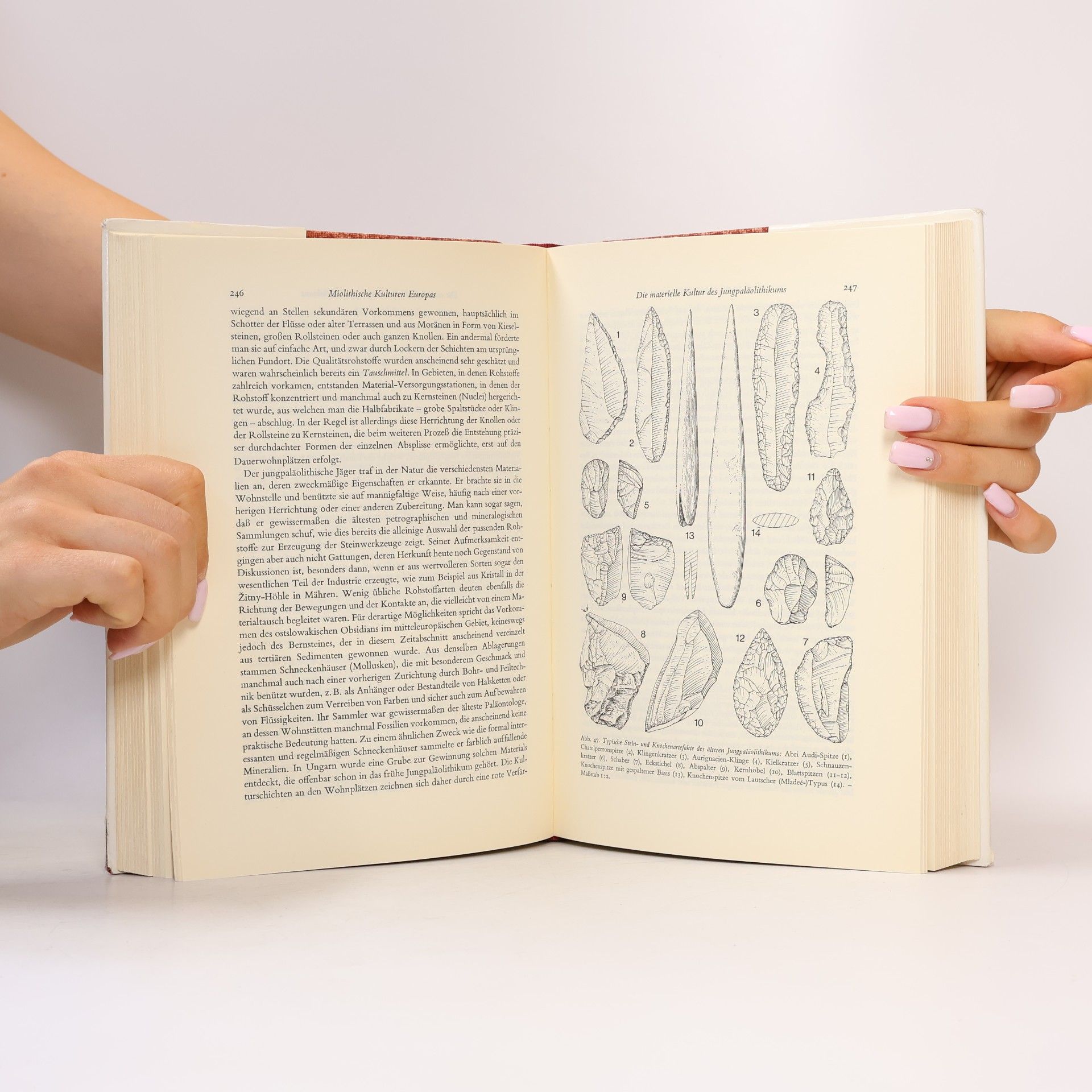 Auteurscollectief Handbuch der Urgeschichte. Band I: Ältere und Mittlere Steinzeit. Jäger- und Sammlerkulturen