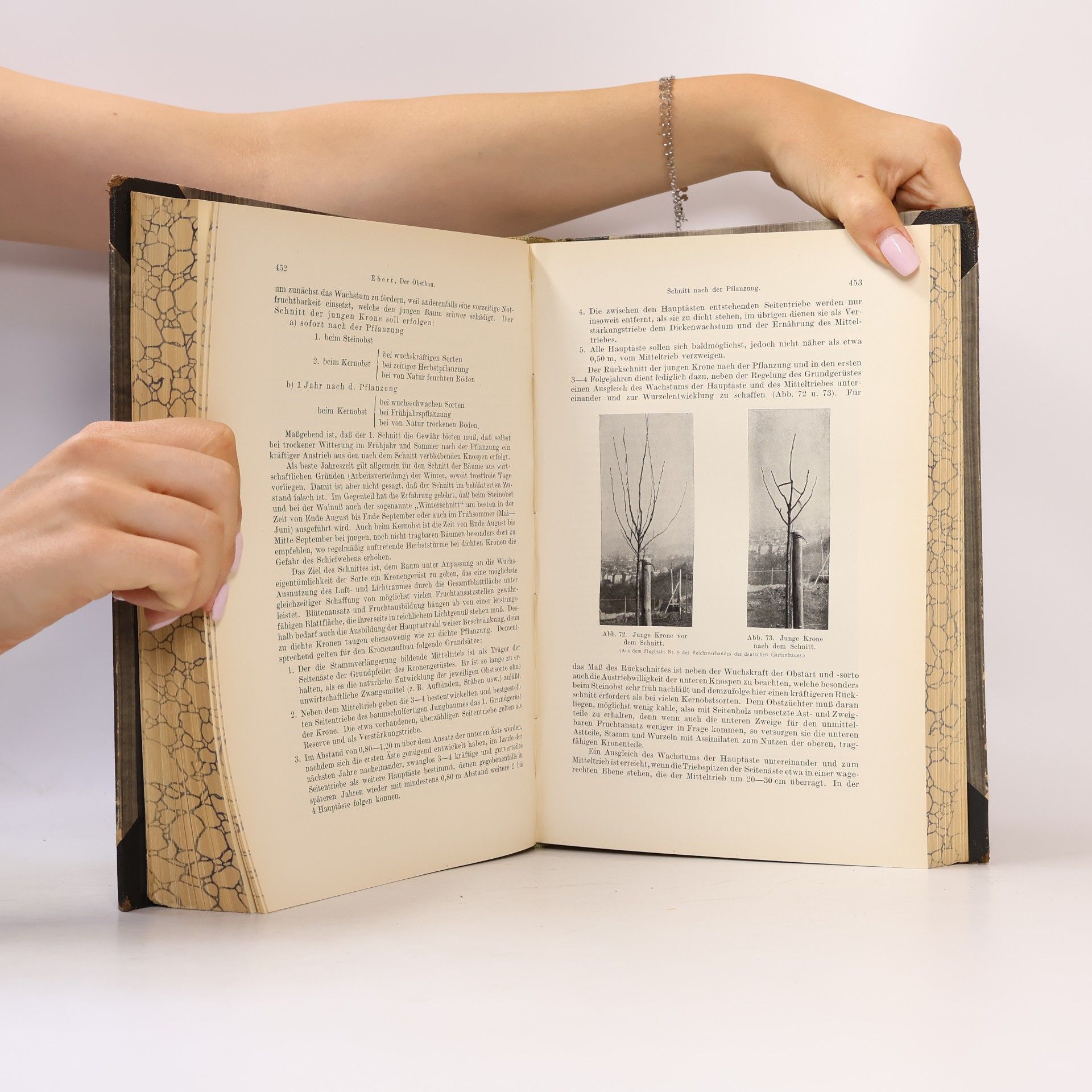 Autores varios Handbuch der Landwirtschaft 3.