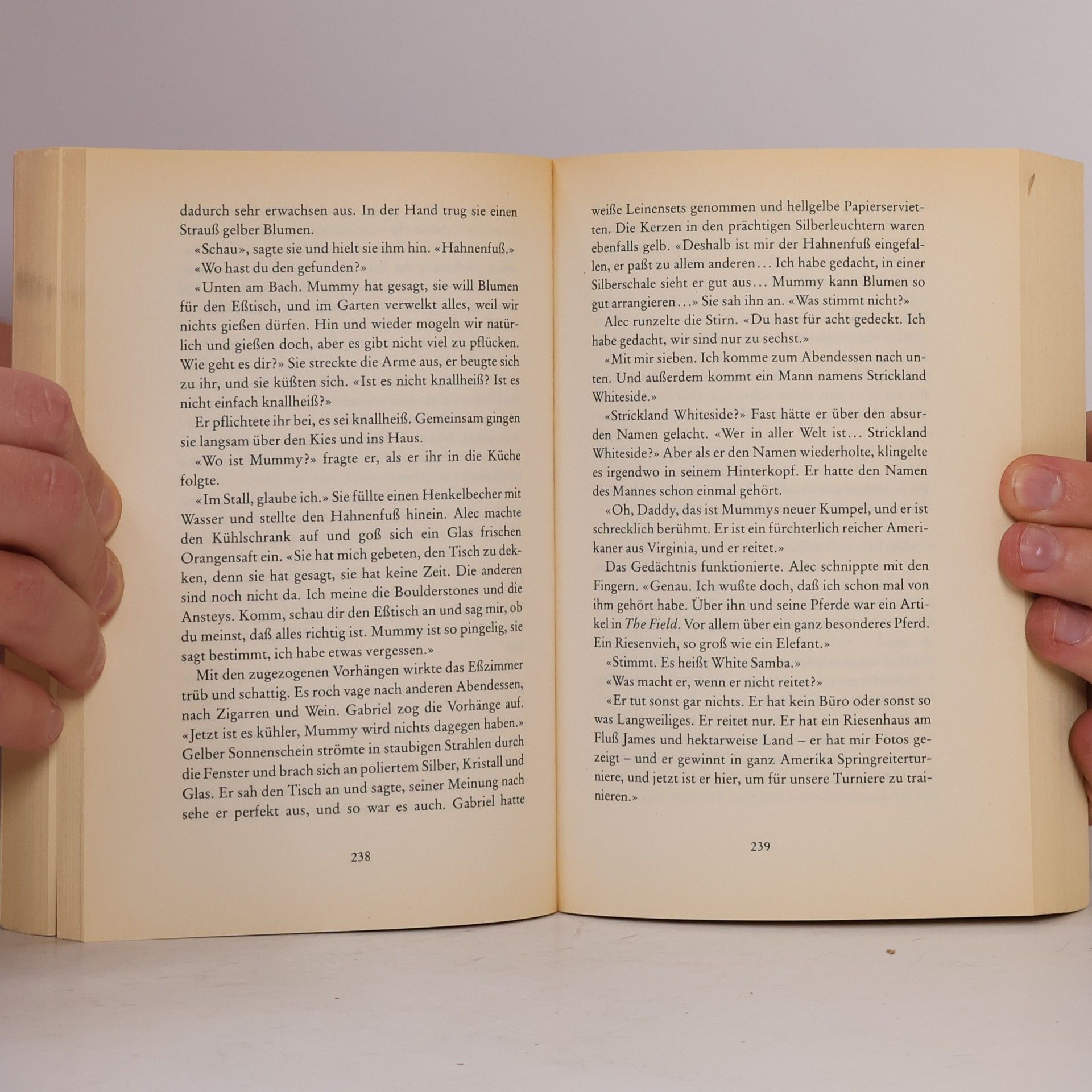 Rosamunde Pilcher Ende eines Sommers