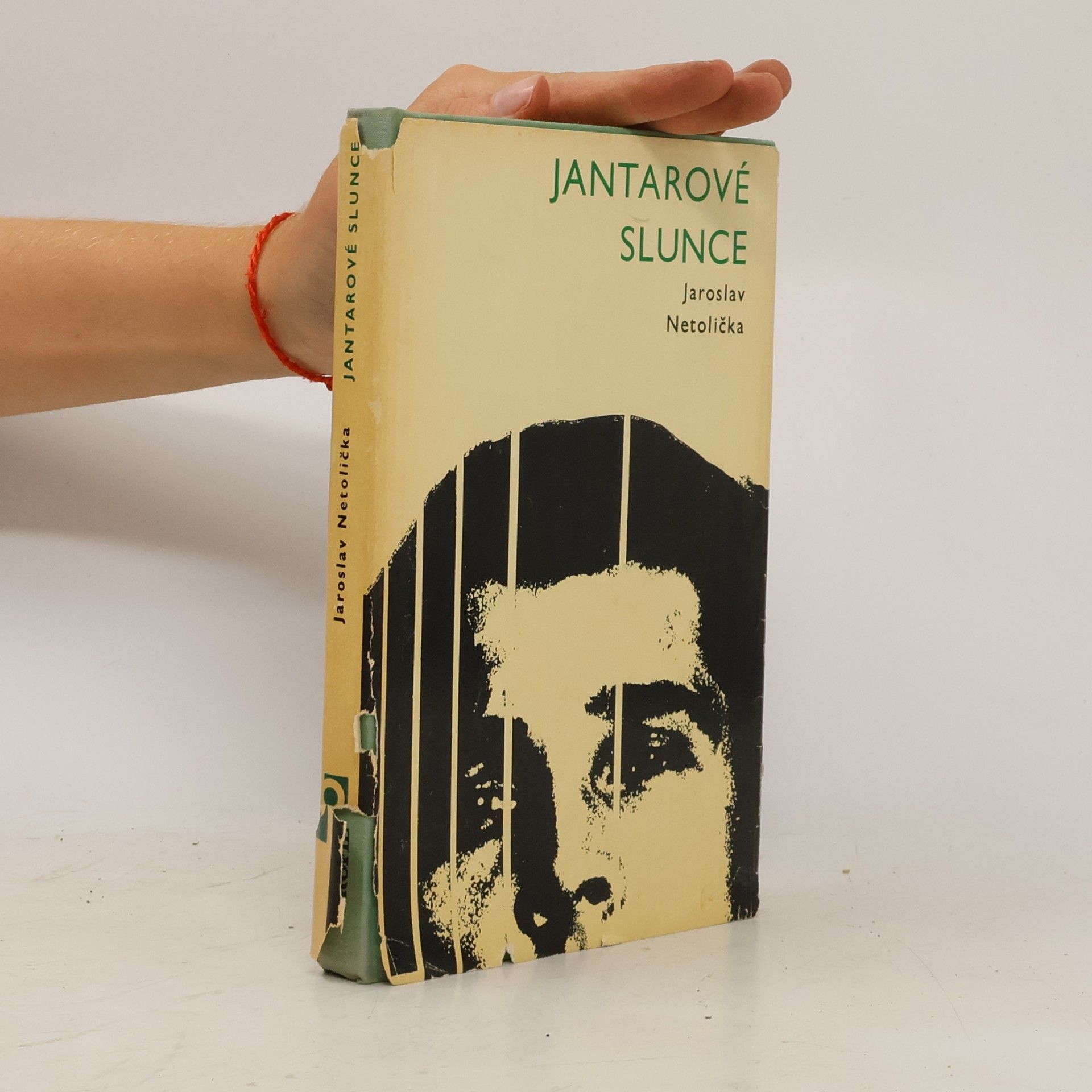 Jaroslav Netolička Jantarové slunce