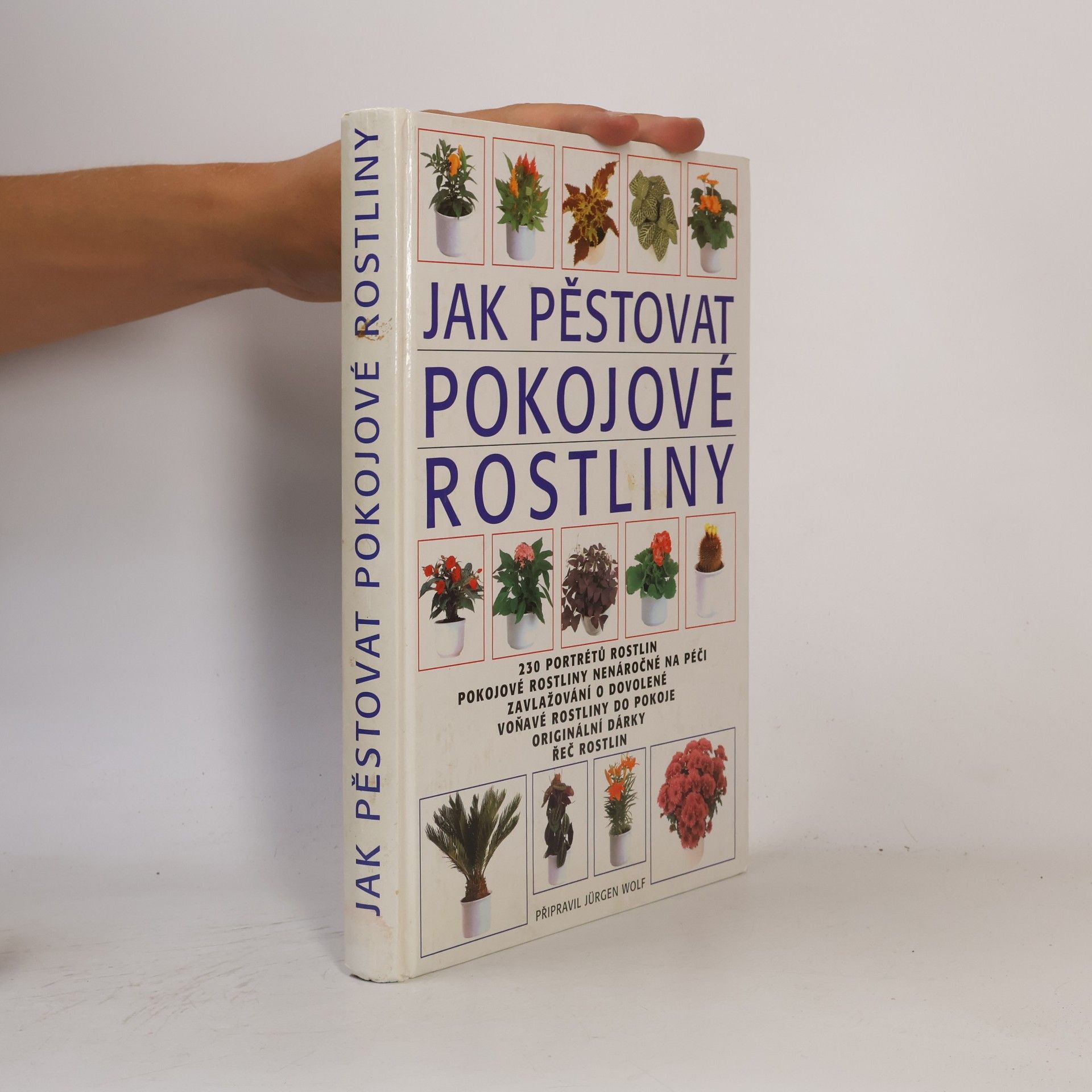 Jürgen Wolff Jak pěstovat pokojové rostliny