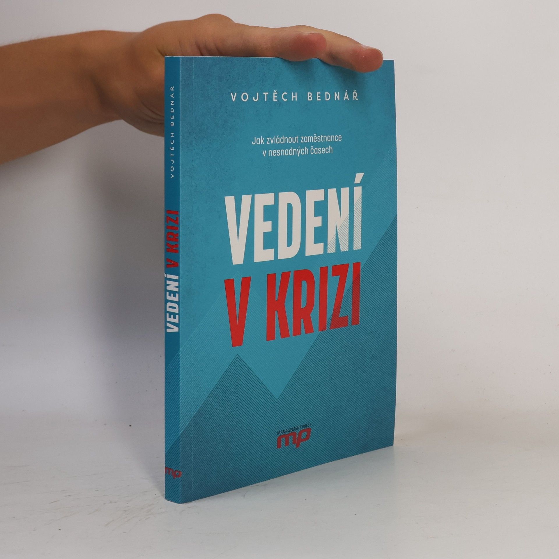 Vojtěch Bednář Vedení v krizi