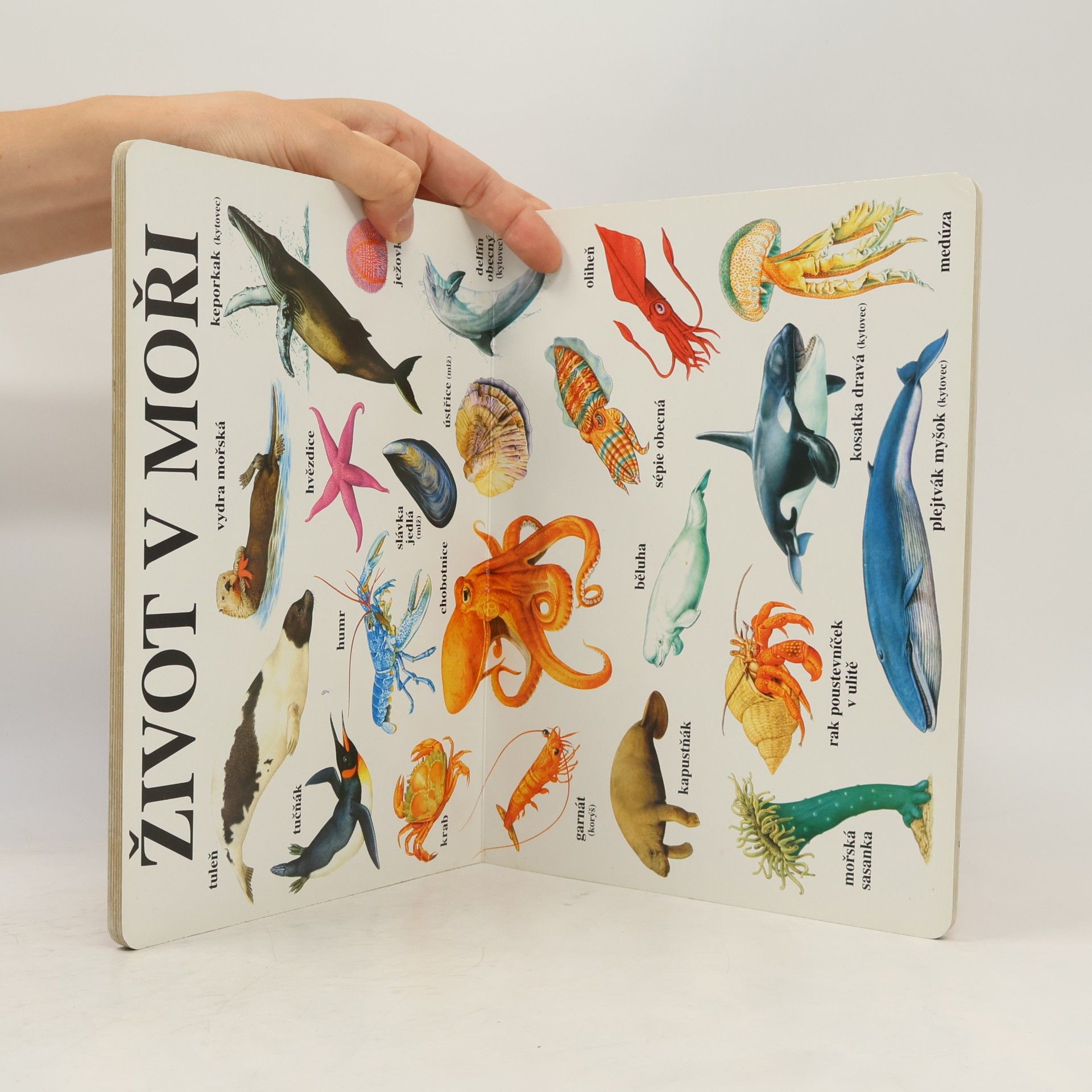 Various authors Moje druhá knížka