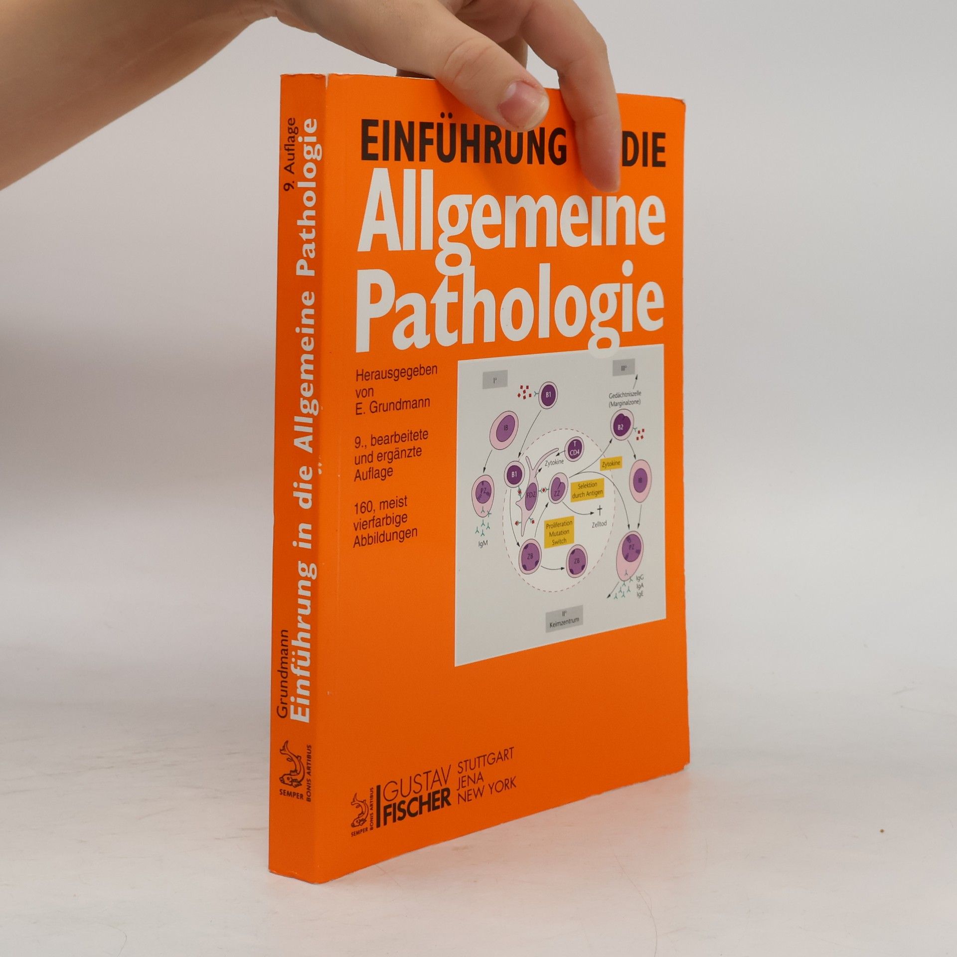 Ekkehard Grundmann Einführung in die allgemeine Pathologie und in Teile der pathologischen Physiologie entsprechend dem Gegenstandskatalog für den ersten Abschnitt der ärztlichen Prüfung - bearbeitete und ergänzte Auflage