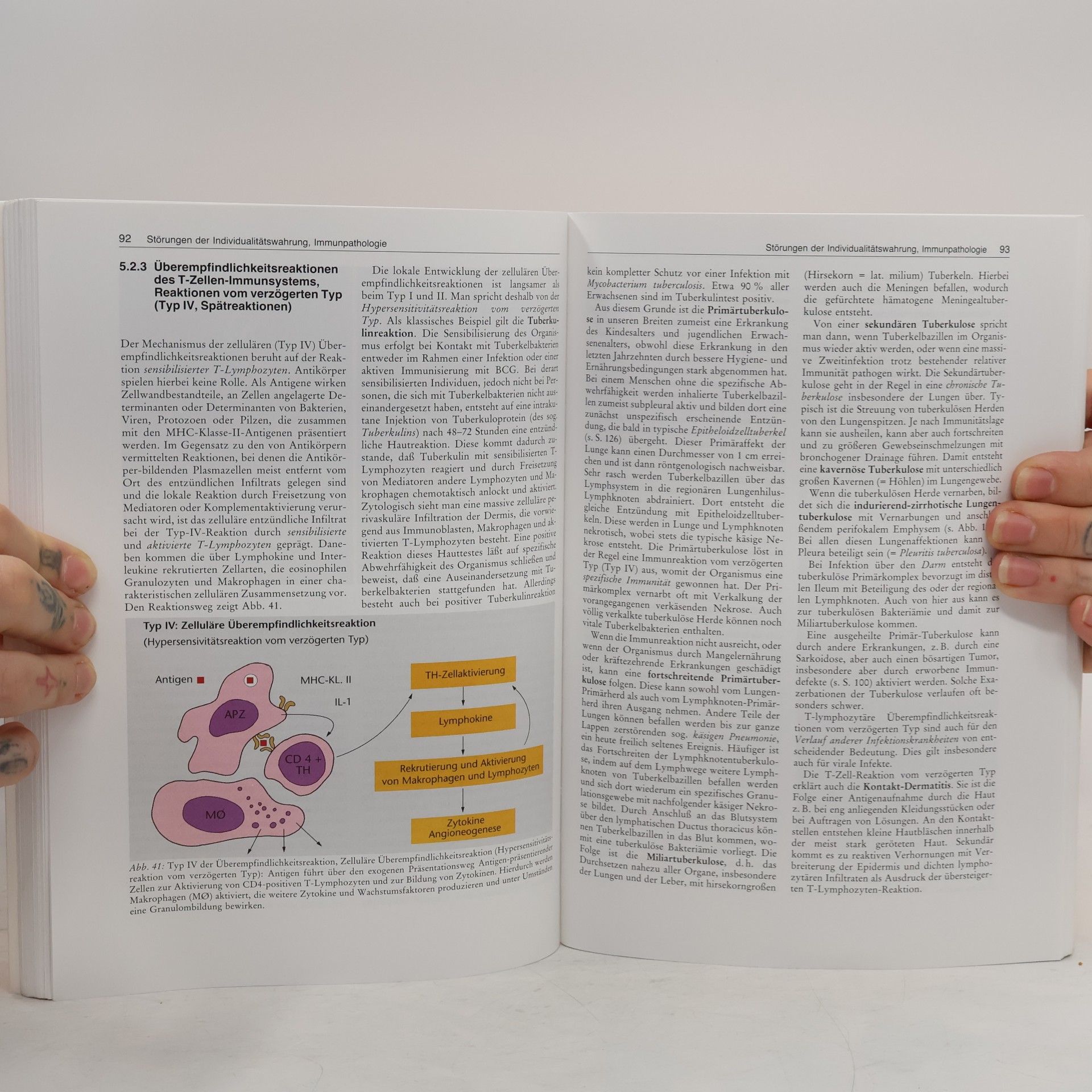 Ekkehard Grundmann Einführung in die allgemeine Pathologie und in Teile der pathologischen Physiologie entsprechend dem Gegenstandskatalog für den ersten Abschnitt der ärztlichen Prüfung - bearbeitete und ergänzte Auflage