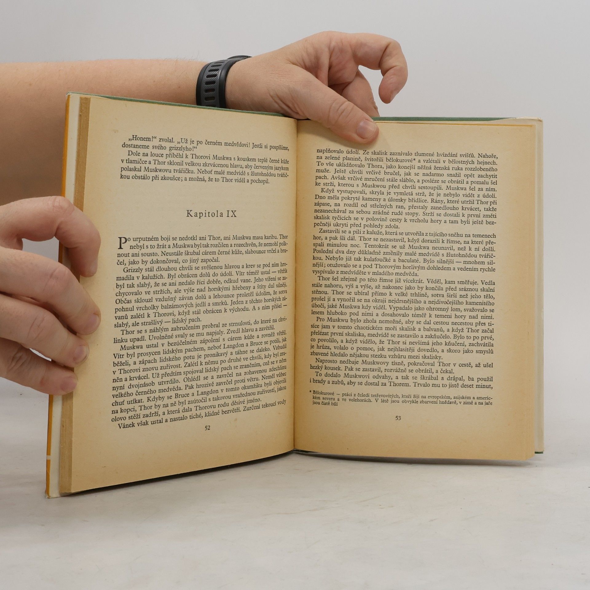 James Oliver Curwood Král šedých medvědů