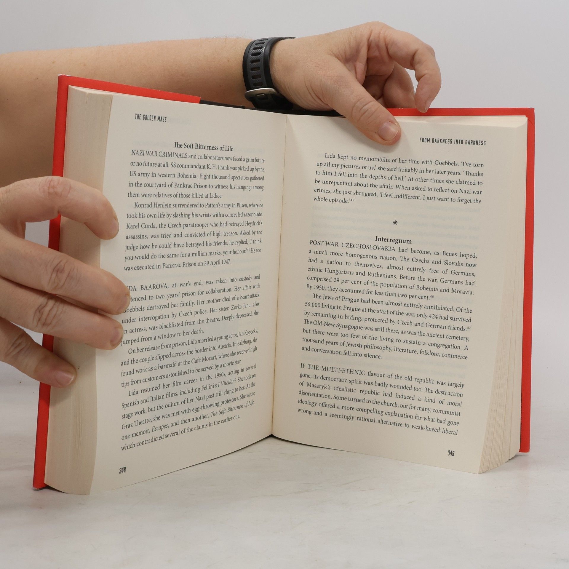 Richard Fidler The Golden Maze