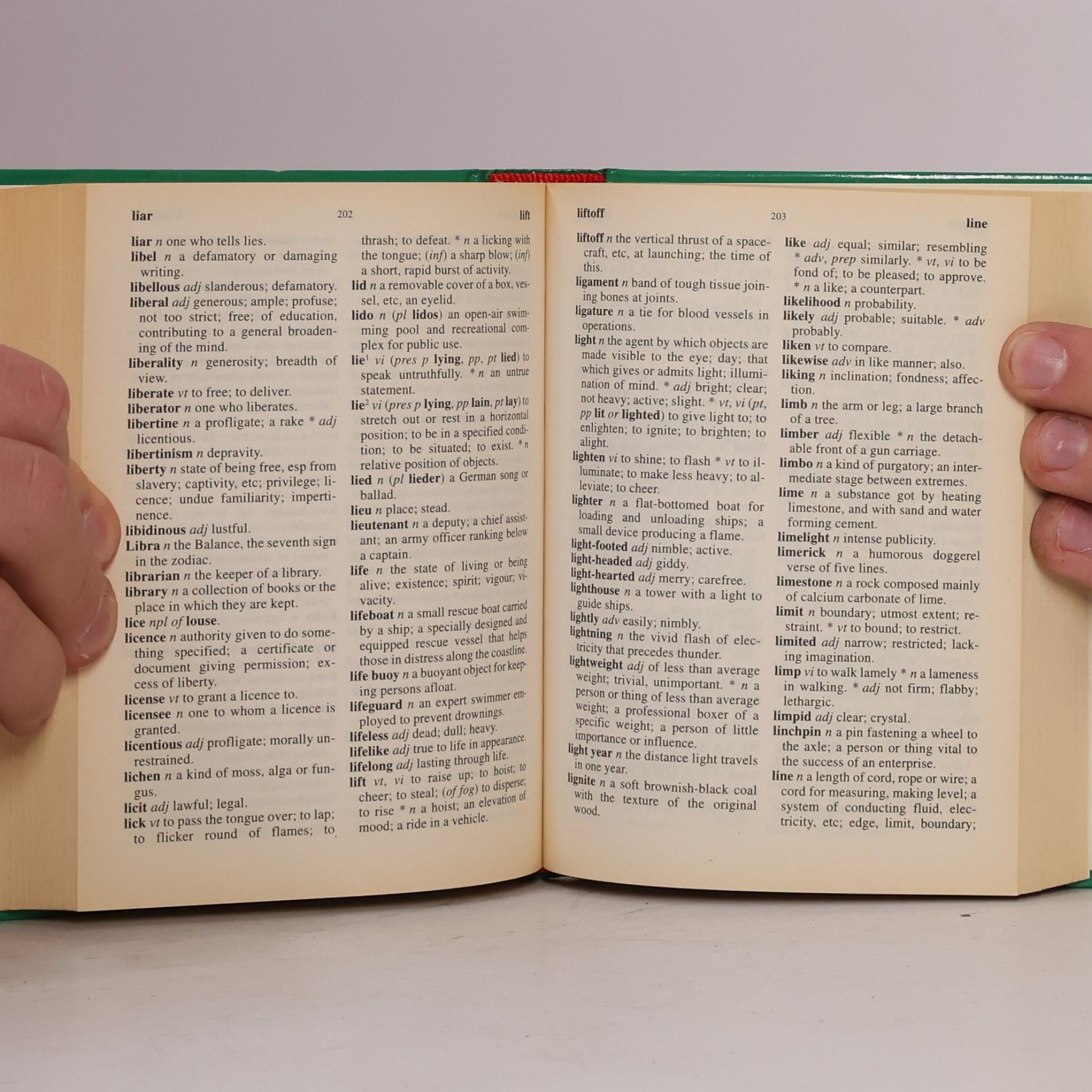 Autorenkollektiv English Dictionary. Anglický výkladový slovník