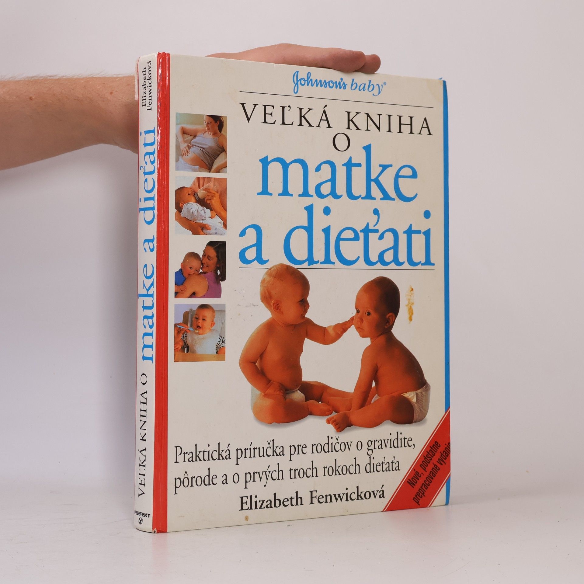 Elizabeth Fenwick Veľká kniha o matke a dieťati
