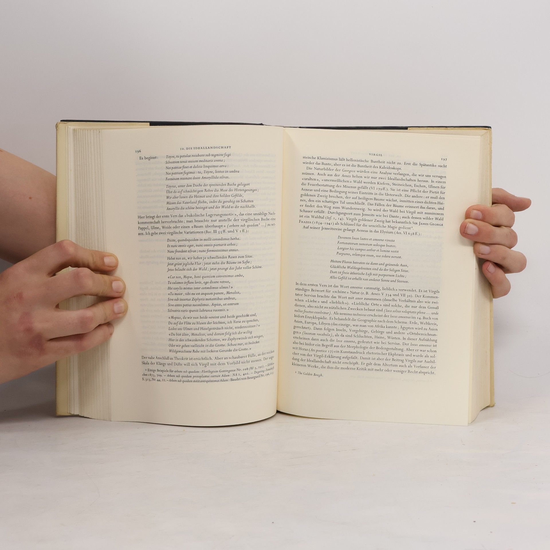 Ernst Robert Curtius Europäische Literatur und Lateinisches Mittelalter