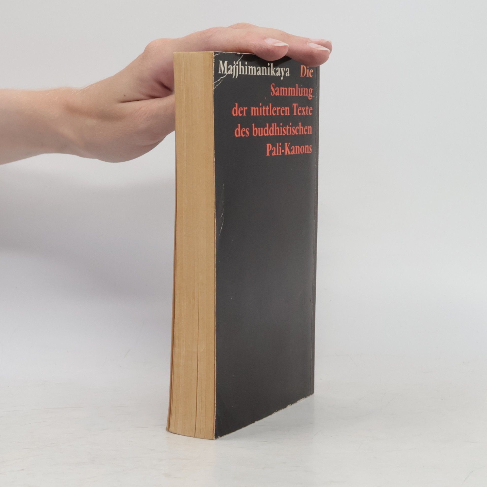 Collectif d'auteurs Buddhas Reden