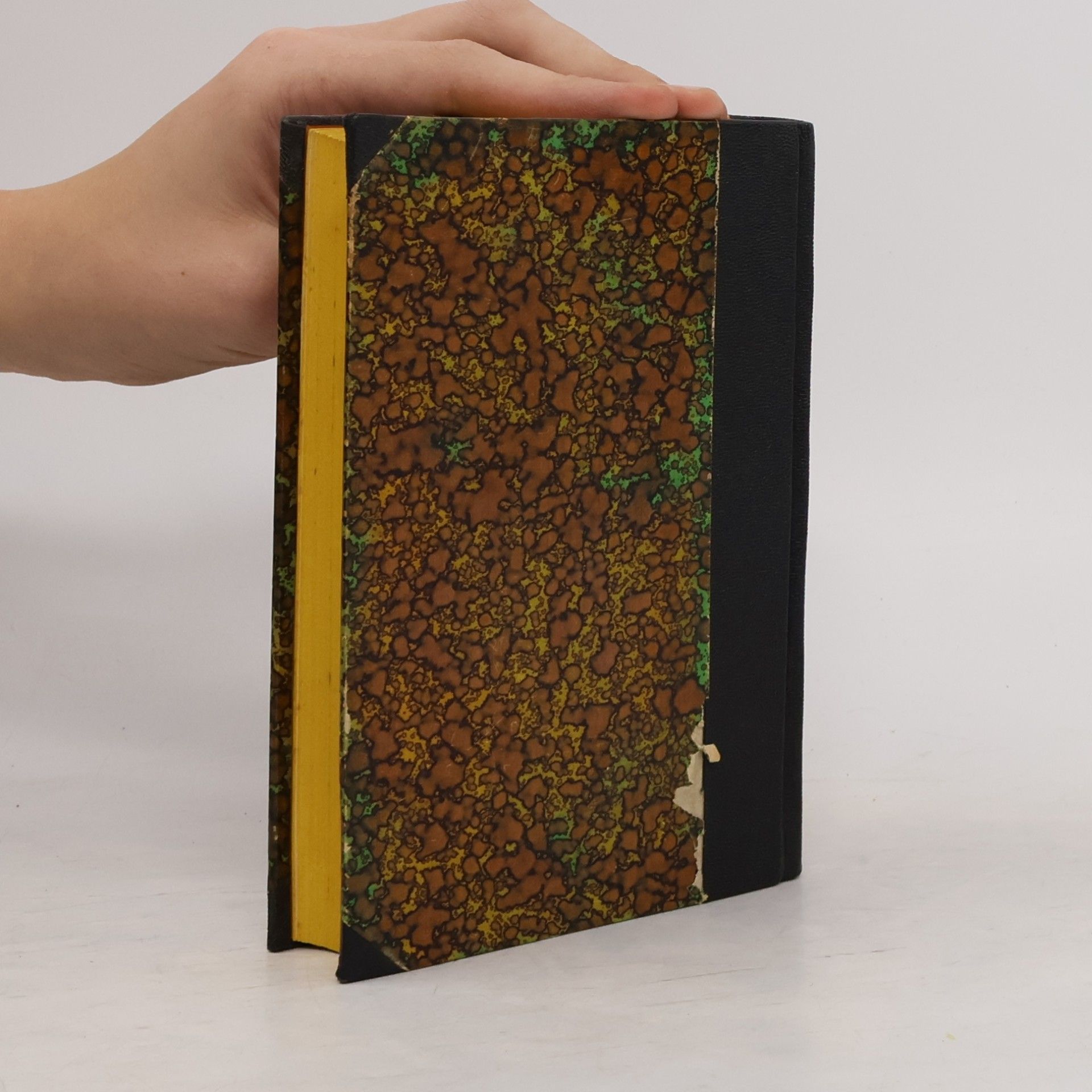 Autorenkollektiv Das Buch von den Klosterstiftungen