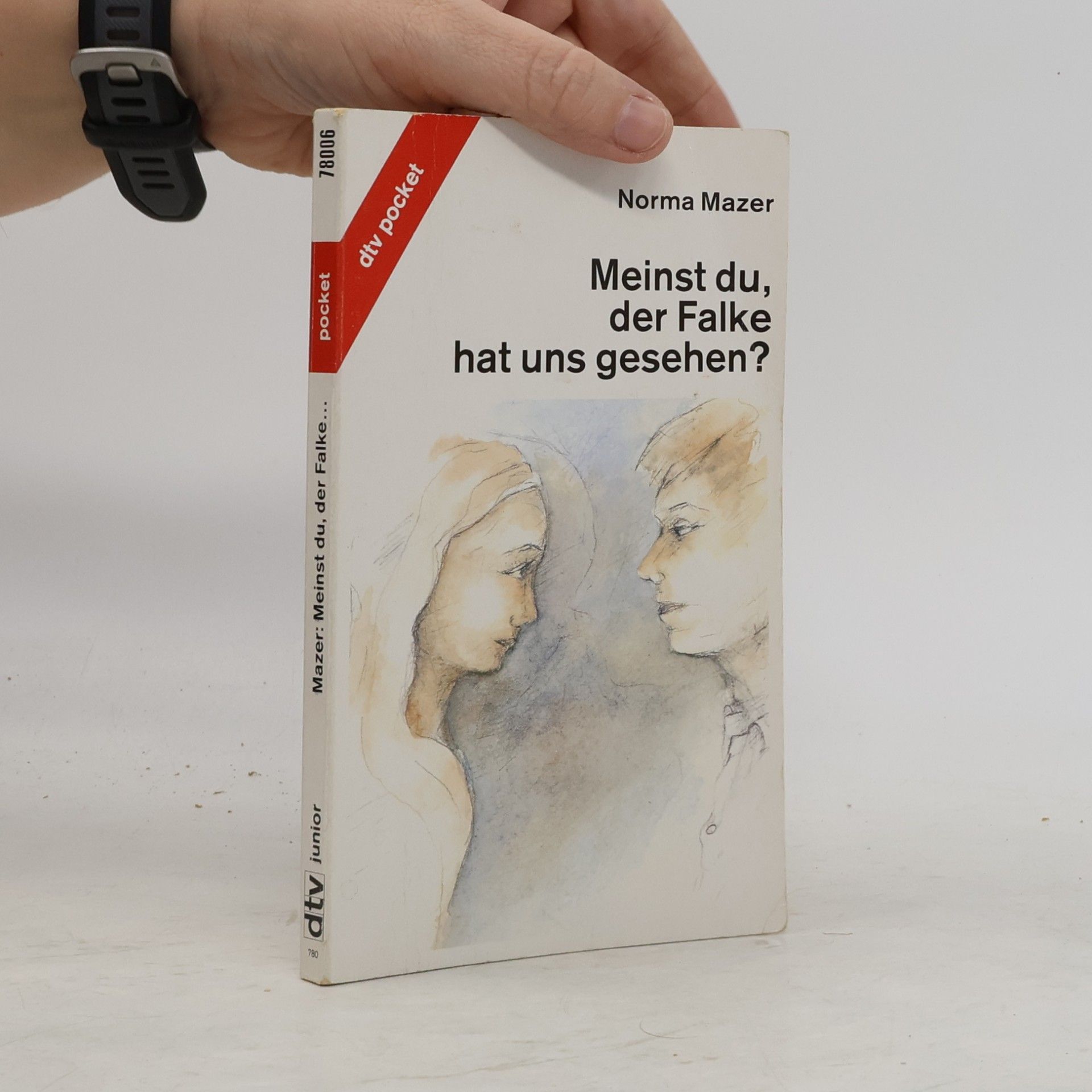Norma Fox Mazer Meinst du, der Falke hat uns gesehen?