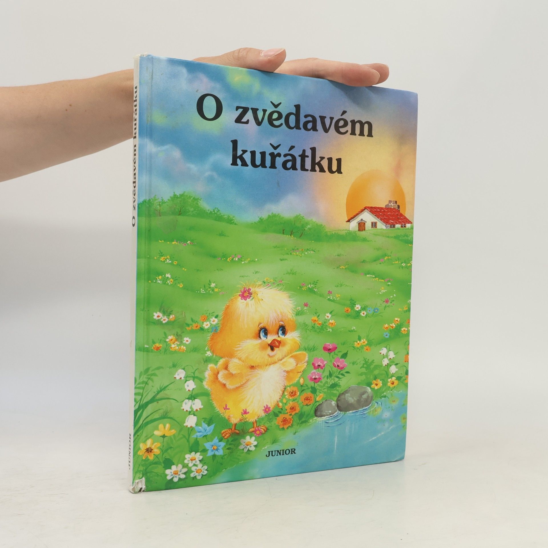 O zvědavém kuřátku