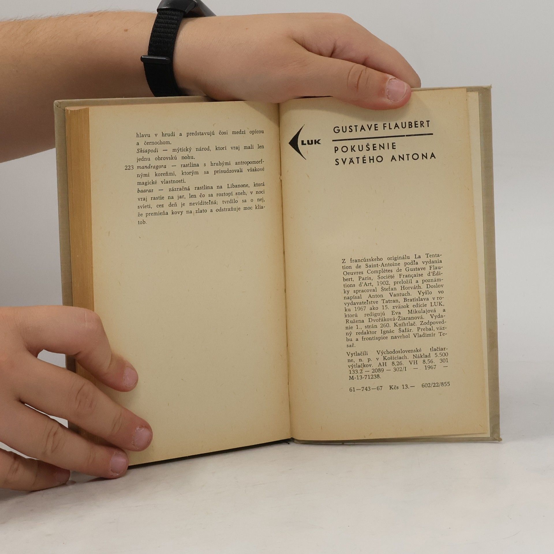 Gustave Flaubert Pokušenie svätého Antona