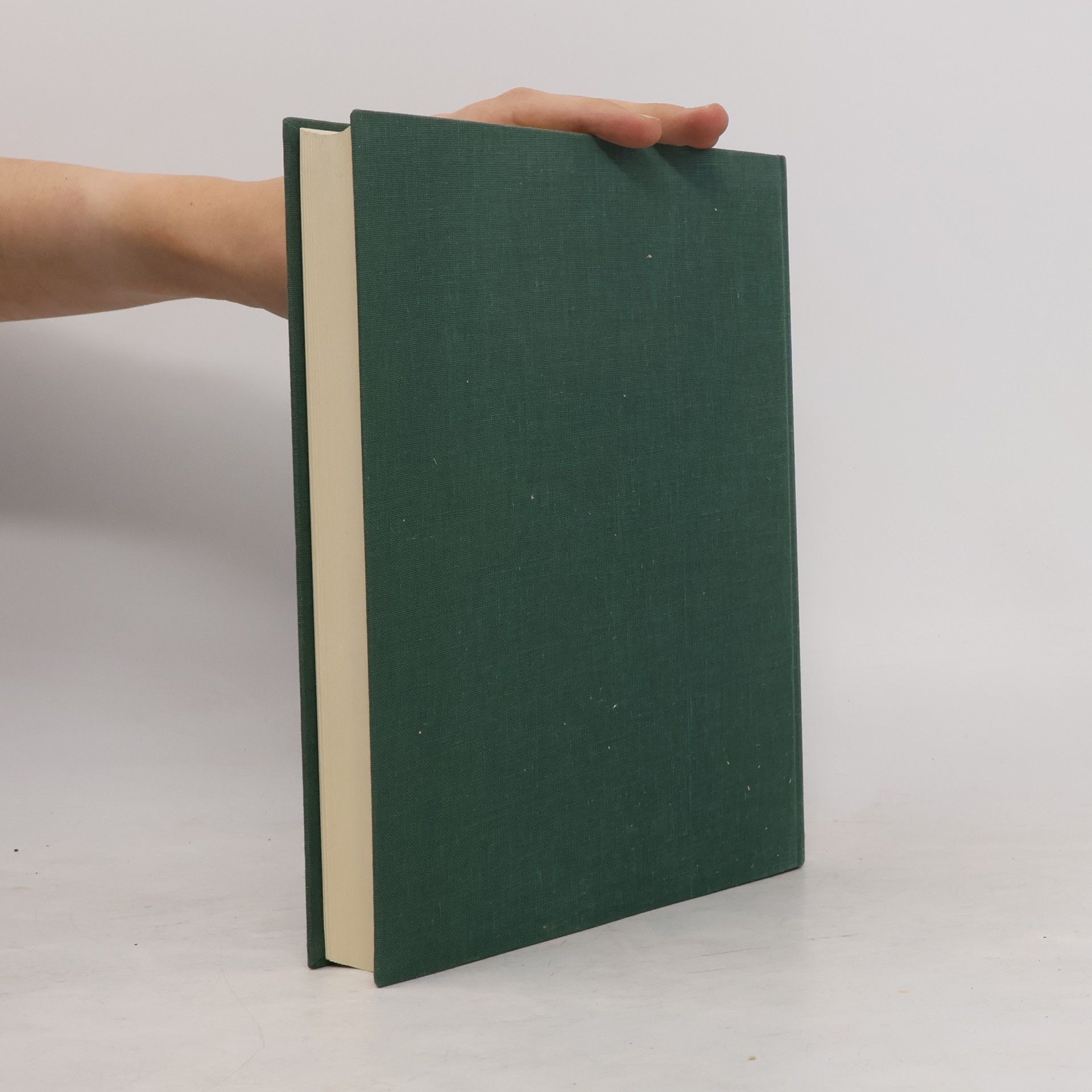 kolektiv Obschichte der Stadt Oberlannstein