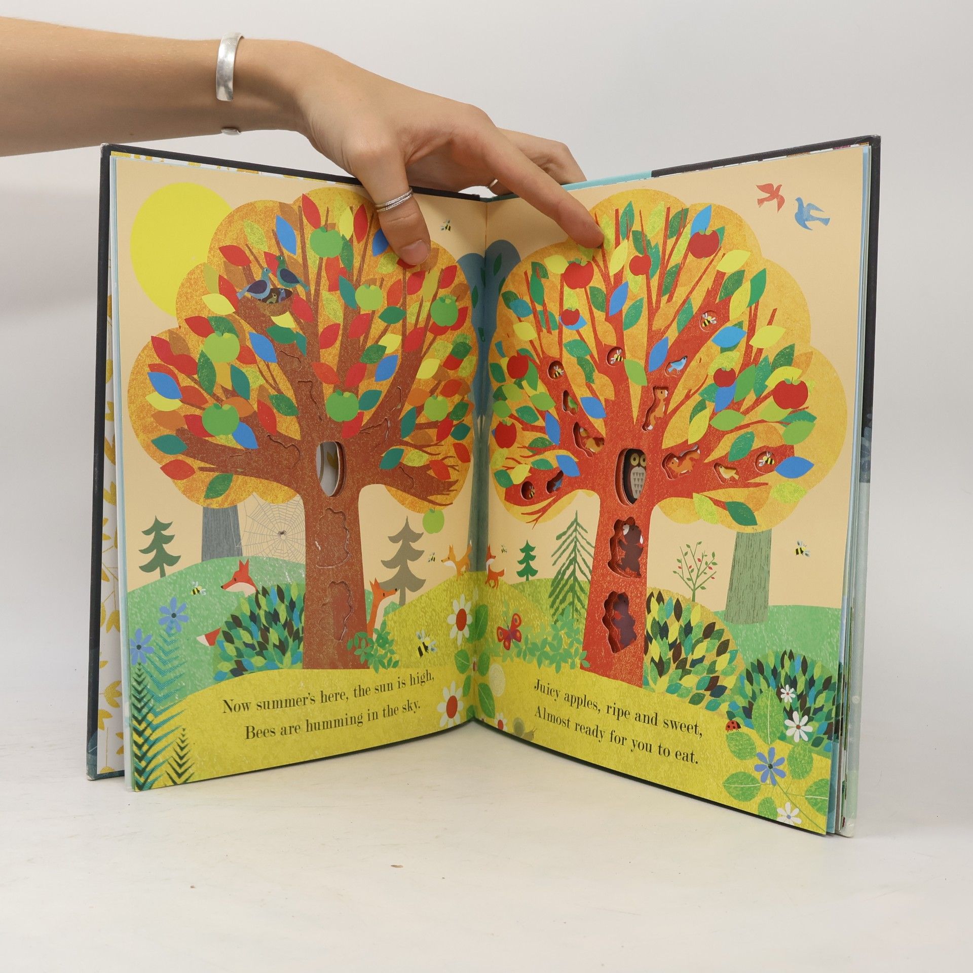 Britta Teckentrup Tree: A Peek-Through Picture Book