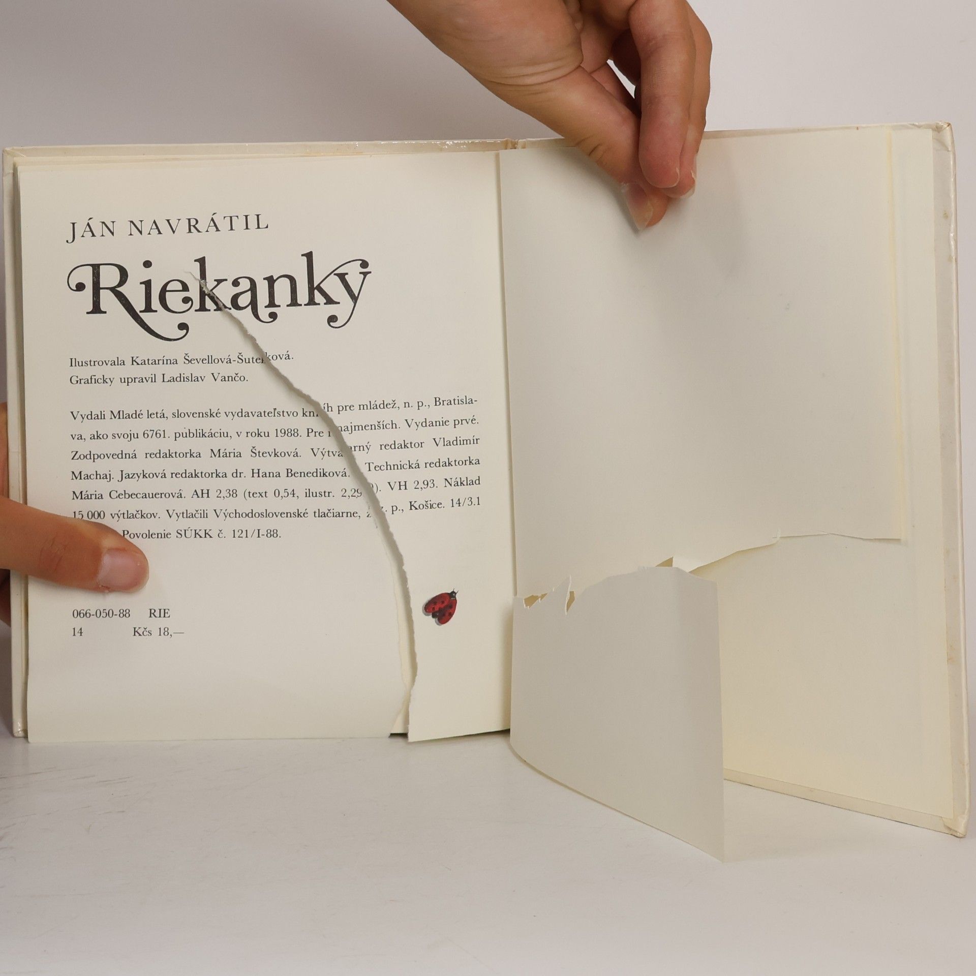Ján Navrátil Riekanky