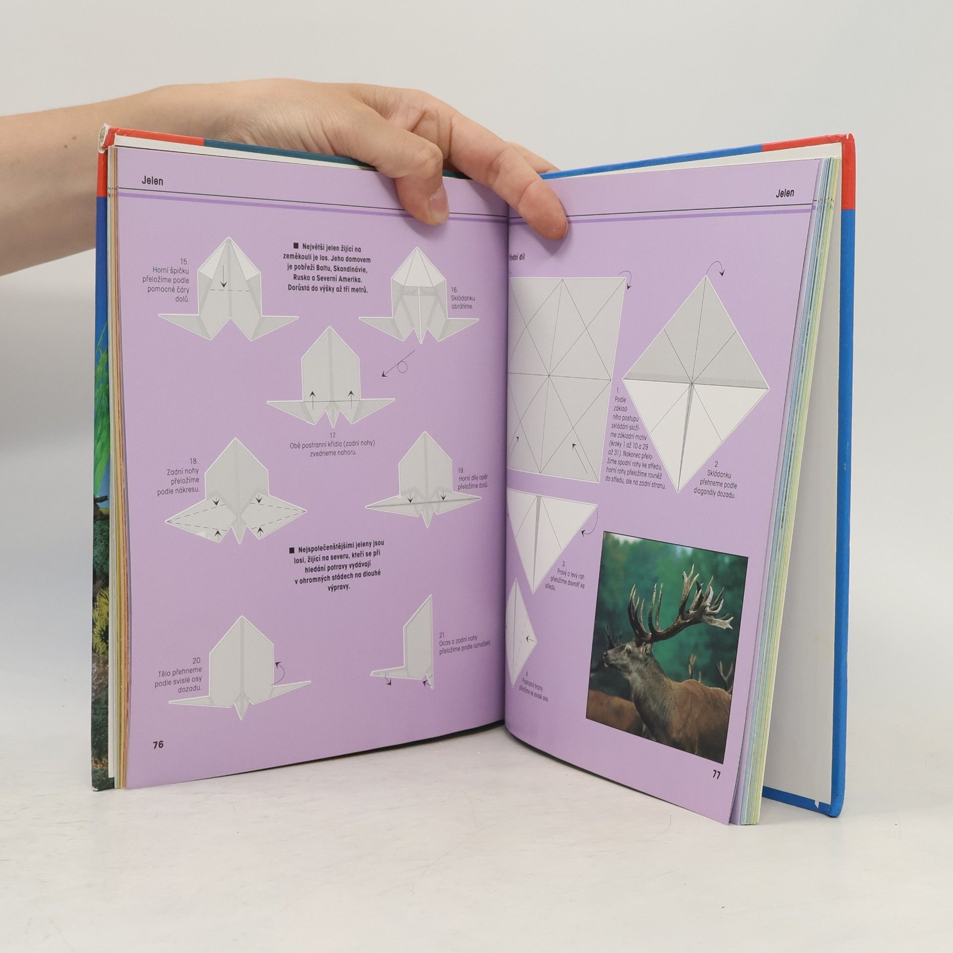 Héctor Rojas F Fascinující svět origami zvířátek