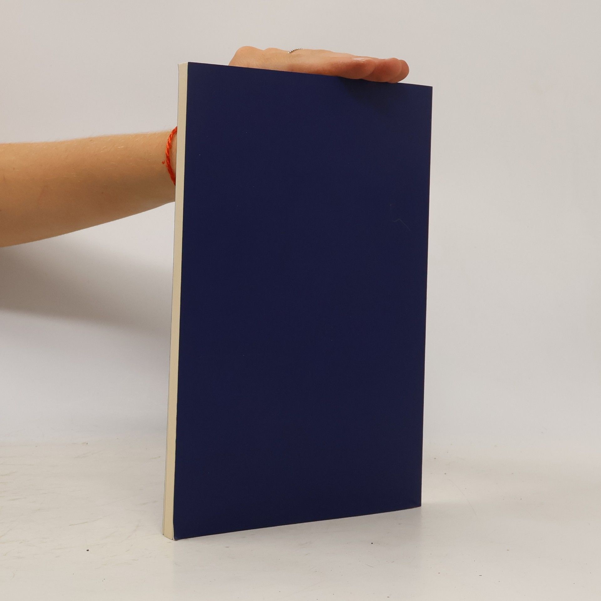 Hermann Hagena Tiefflug in Mitteleuropa