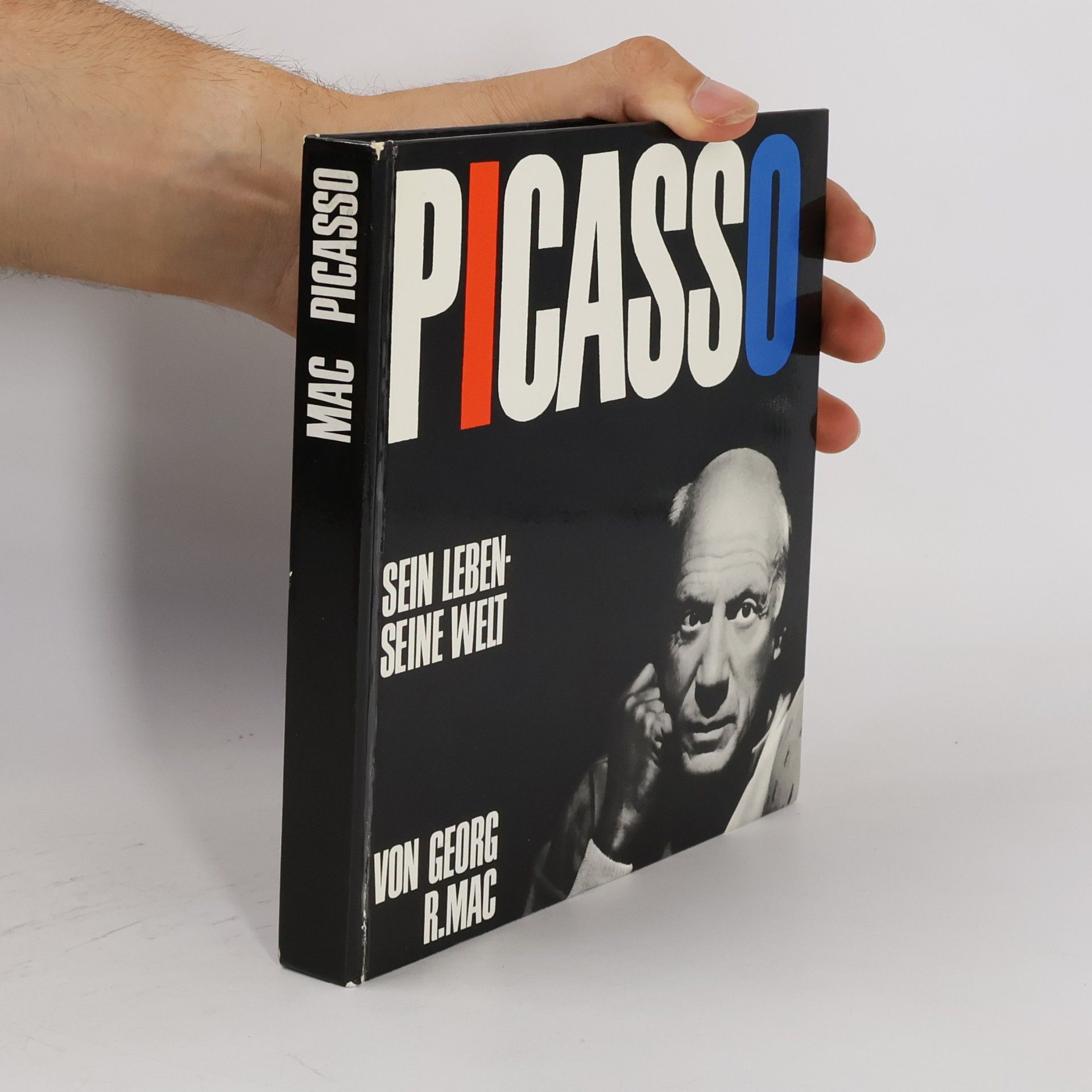 Georg R. Mac Picasso. Sein Leben - seine Welt