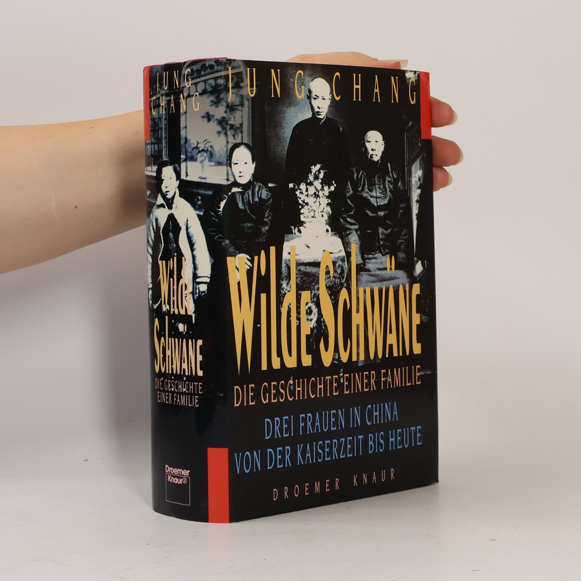Yong Chang Wilde Schwäne