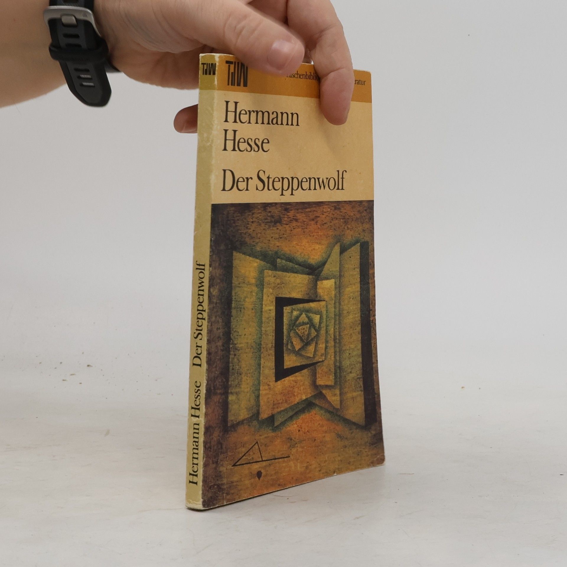 Hermann Hesse Der Steppenwolf
