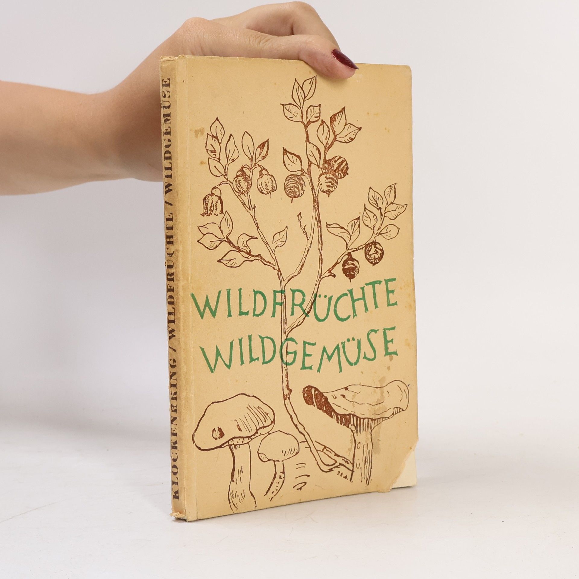 Franz Klockenbring Wildfrüchte und Wildgemüse