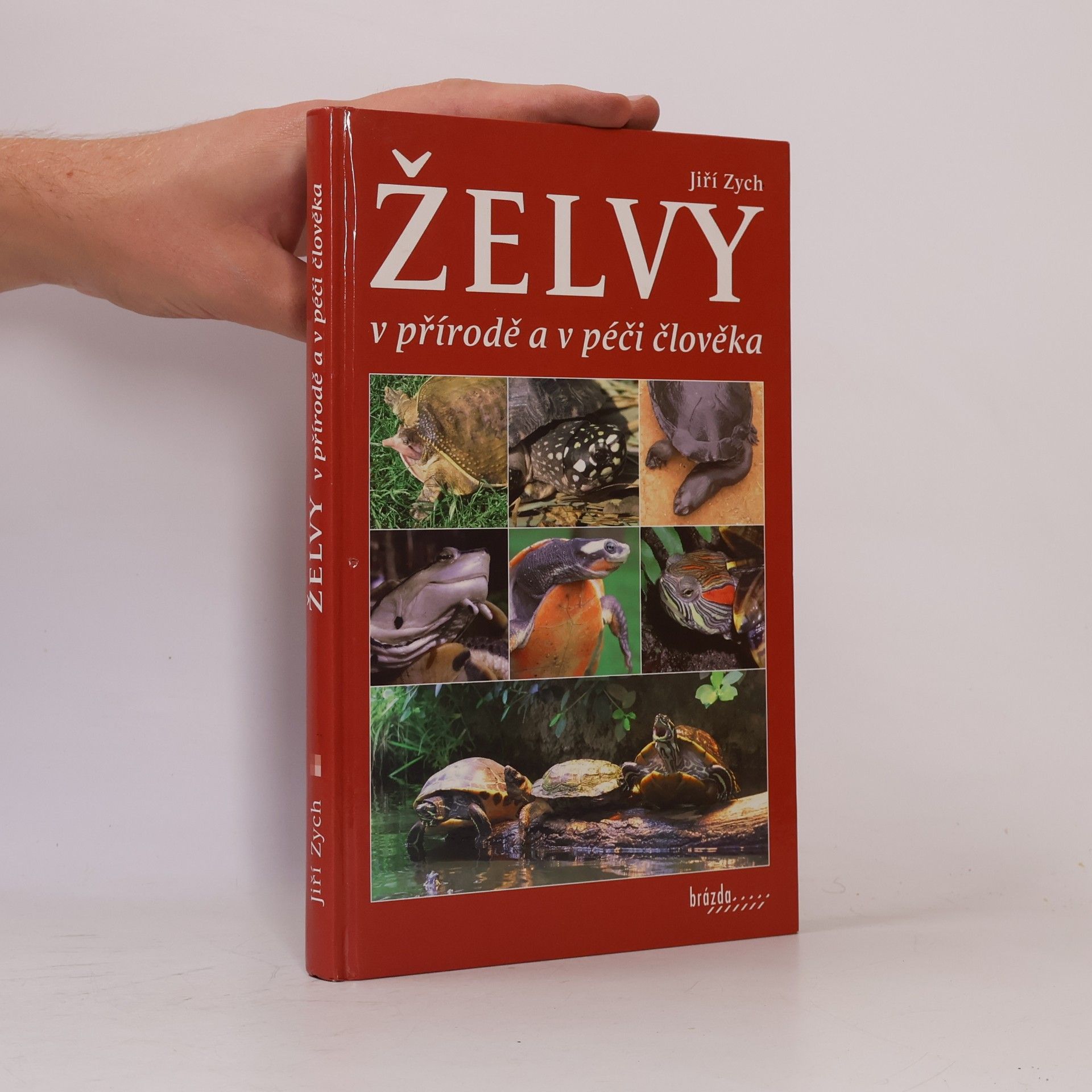 Jiri Zych Želvy v přírodě a v péči člověka