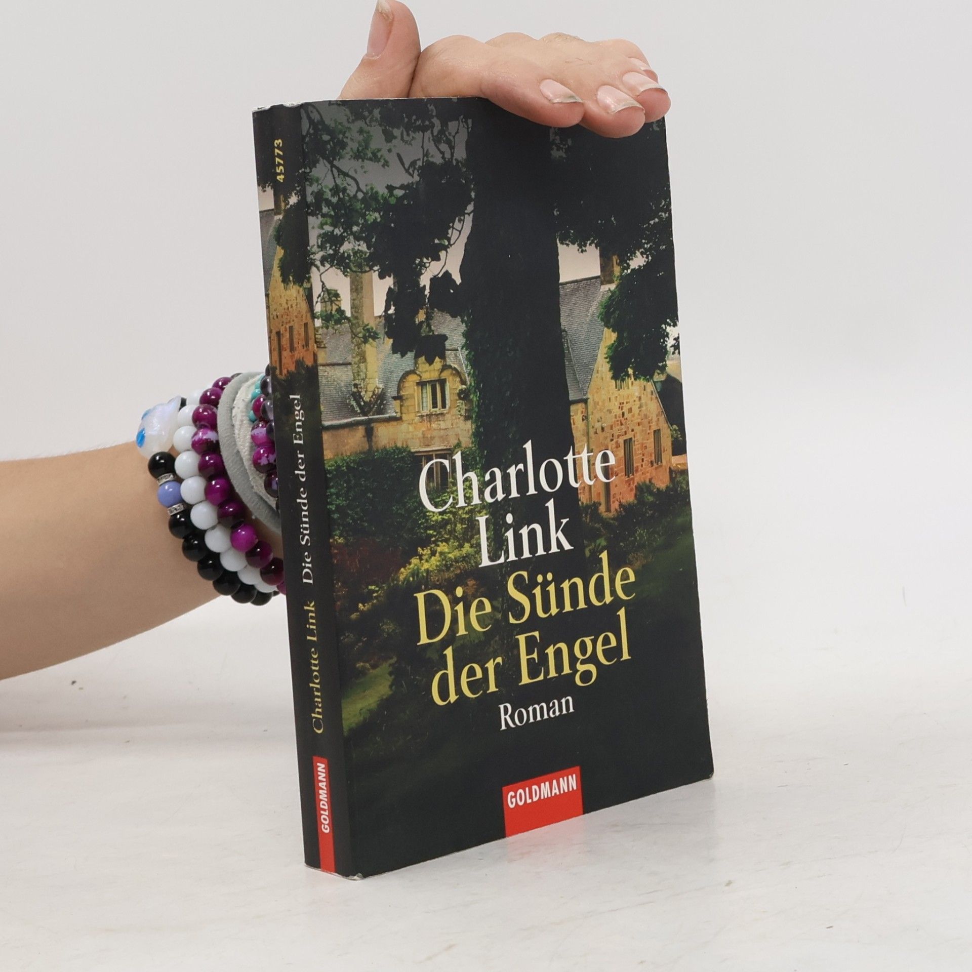 Charlotte Link Die Sünde der Engel