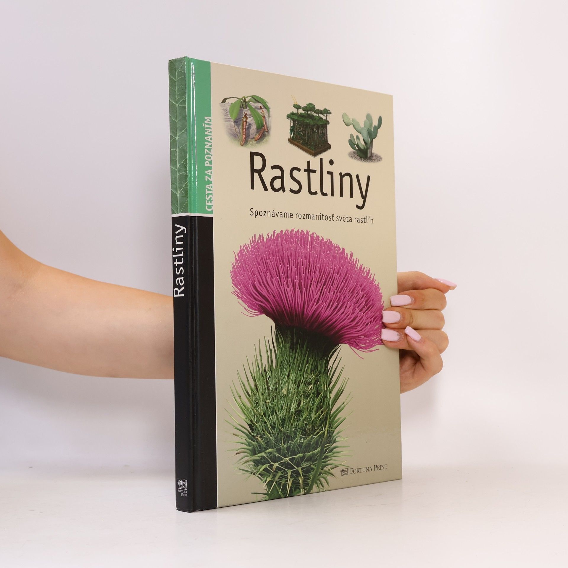 Stéphane Batigne Rastliny (Spoznávame rozmanitosť sveta rastlín