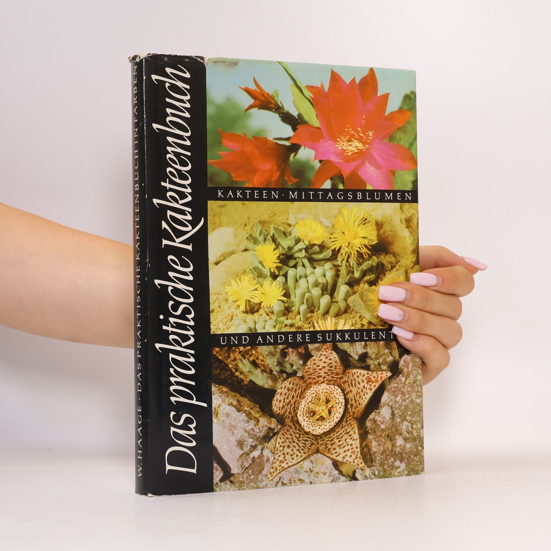 W. Haage Das praktische Kakteenbuch