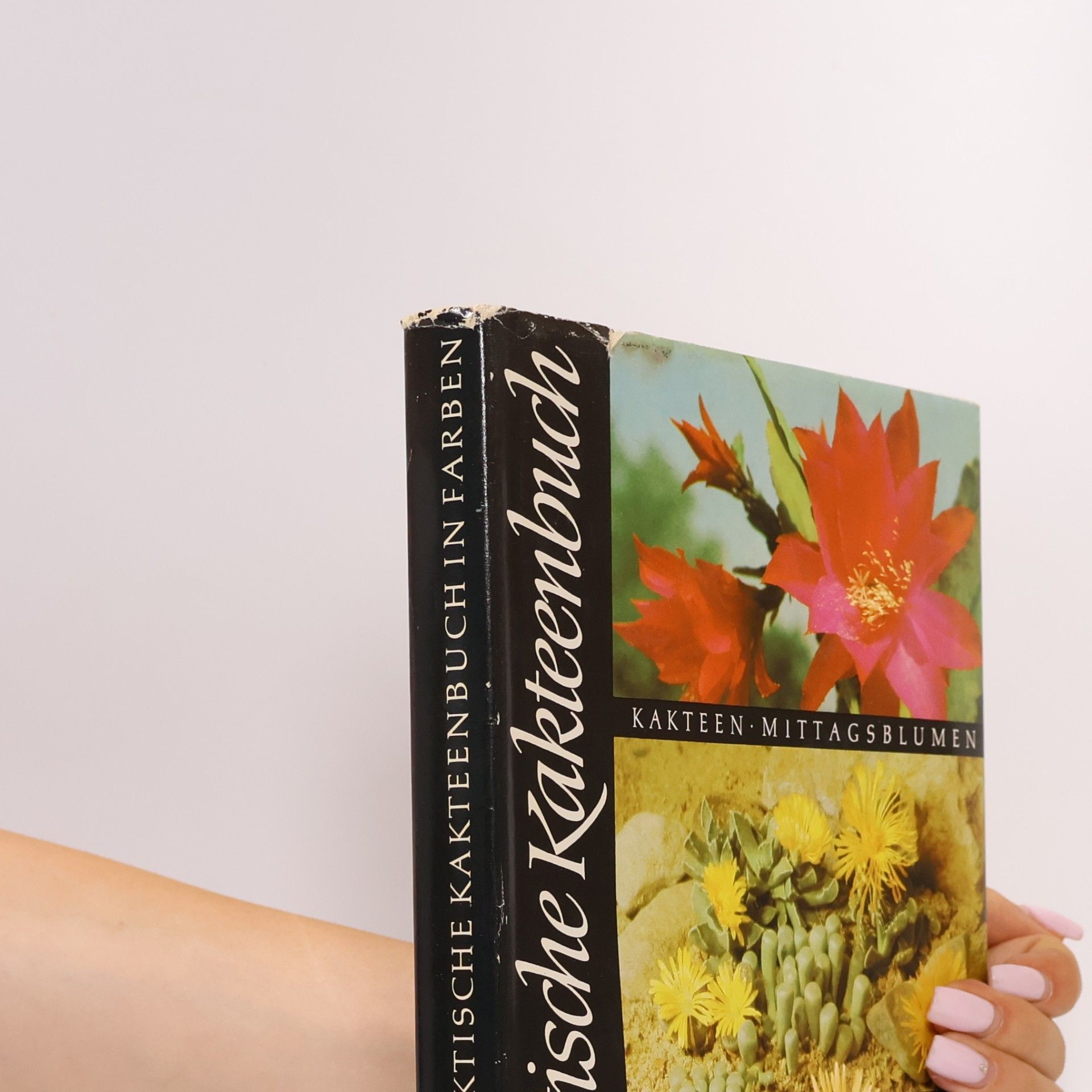 W. Haage Das praktische Kakteenbuch
