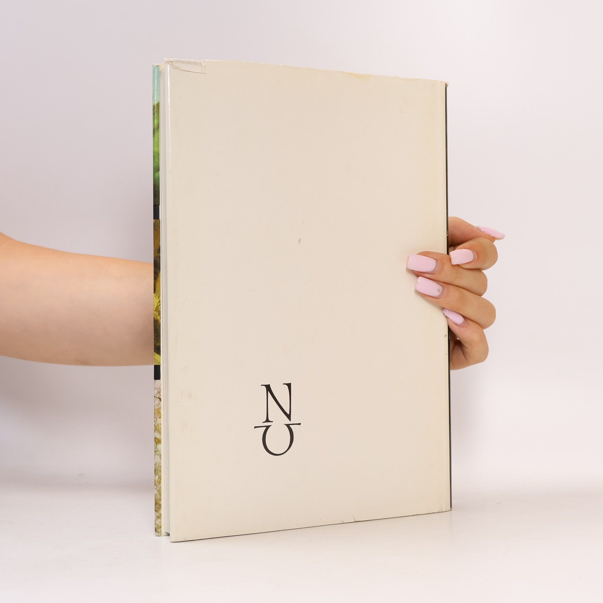 W. Haage Das praktische Kakteenbuch