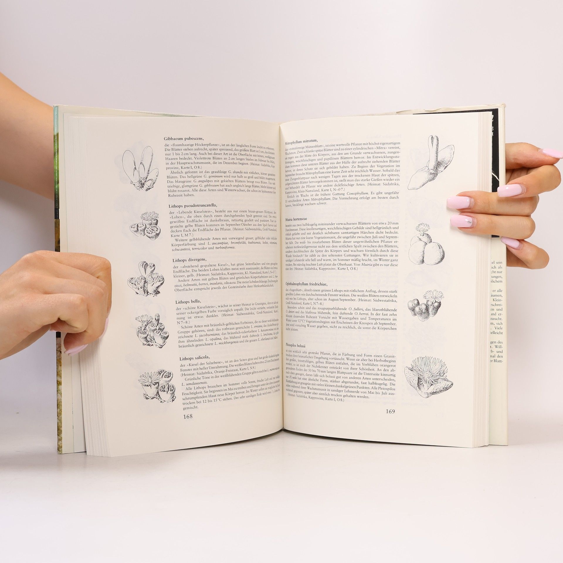 W. Haage Das praktische Kakteenbuch