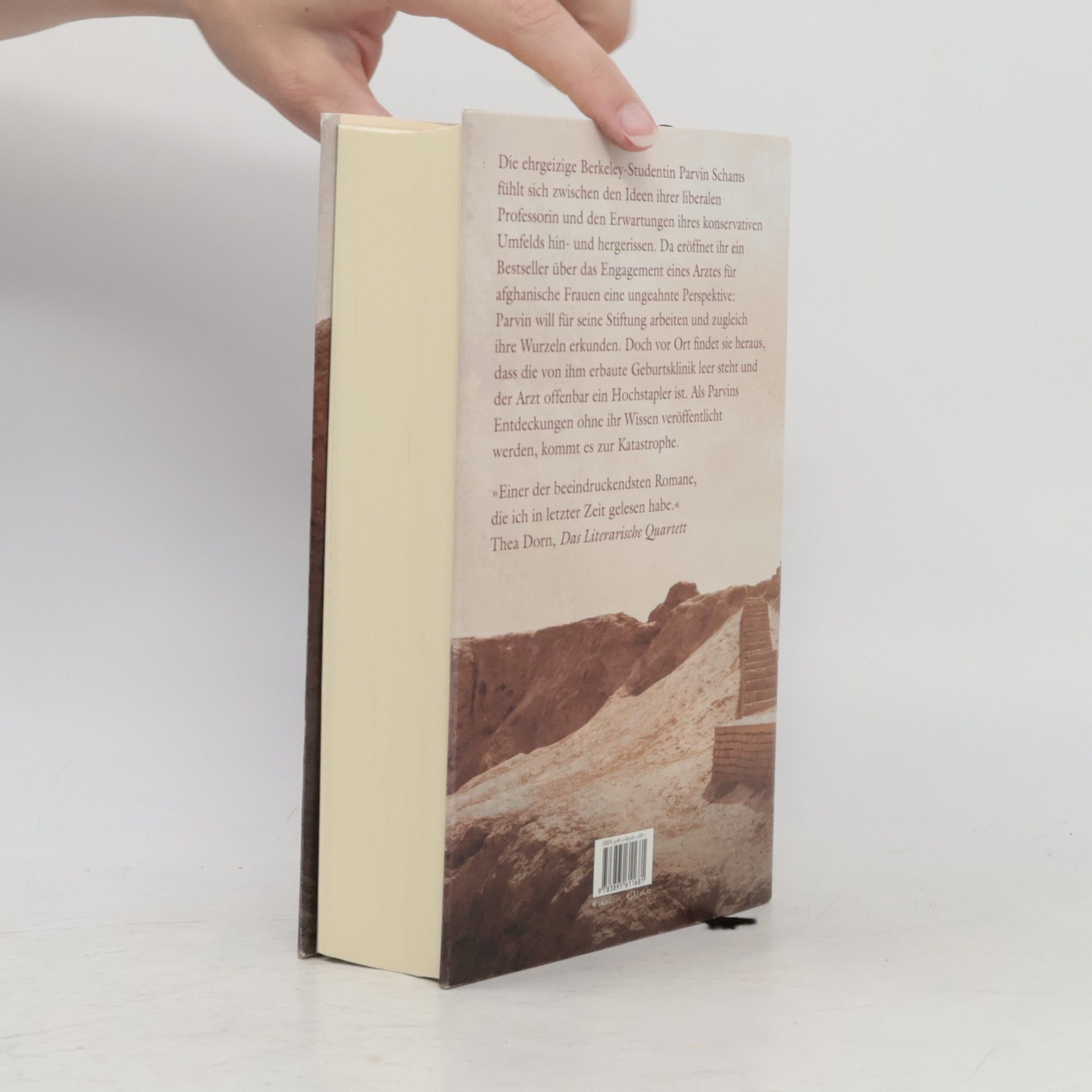 Amy Waldman Das ferne Feuer