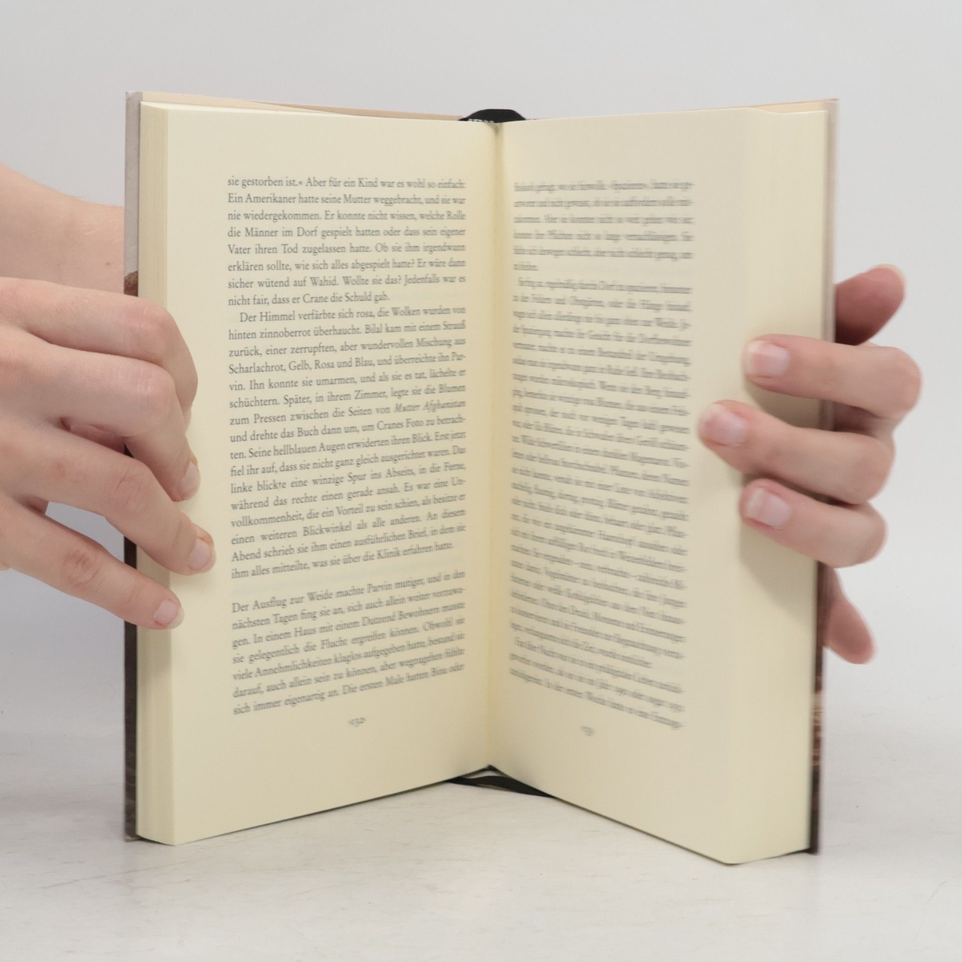 Amy Waldman Das ferne Feuer