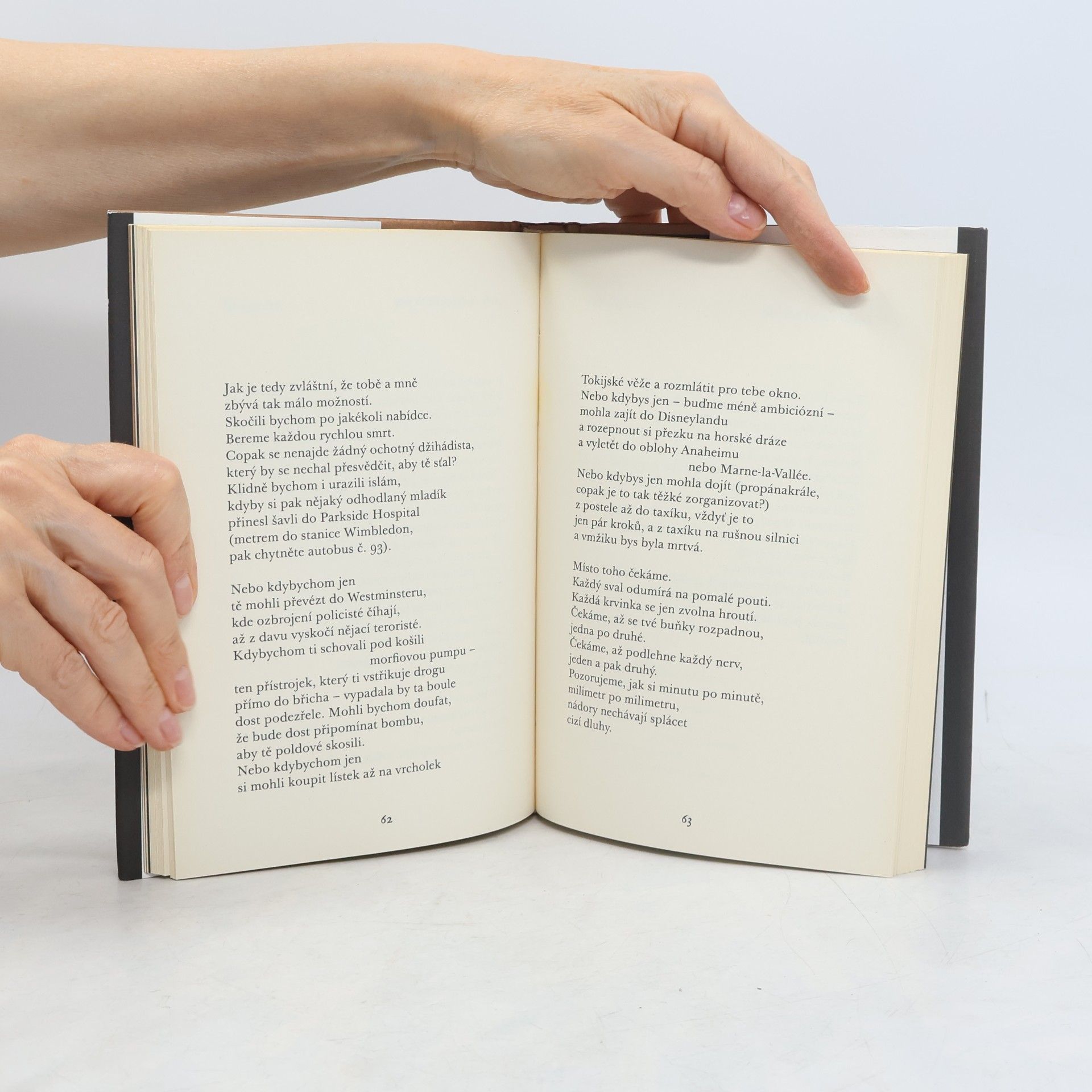 Michel Faber Neskonalá : příběh jedné lásky