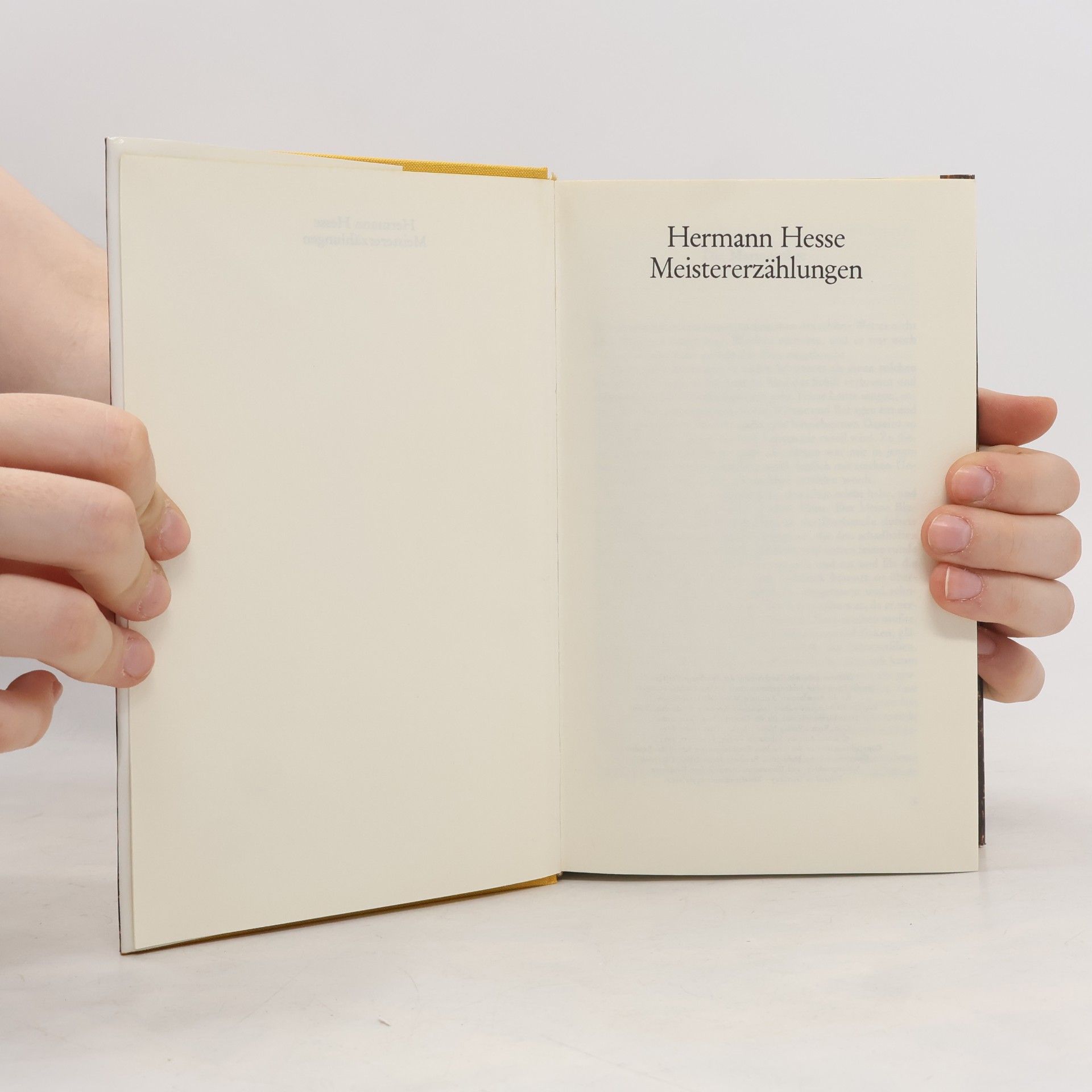 Hermann Hesse Meister Erzählungen
