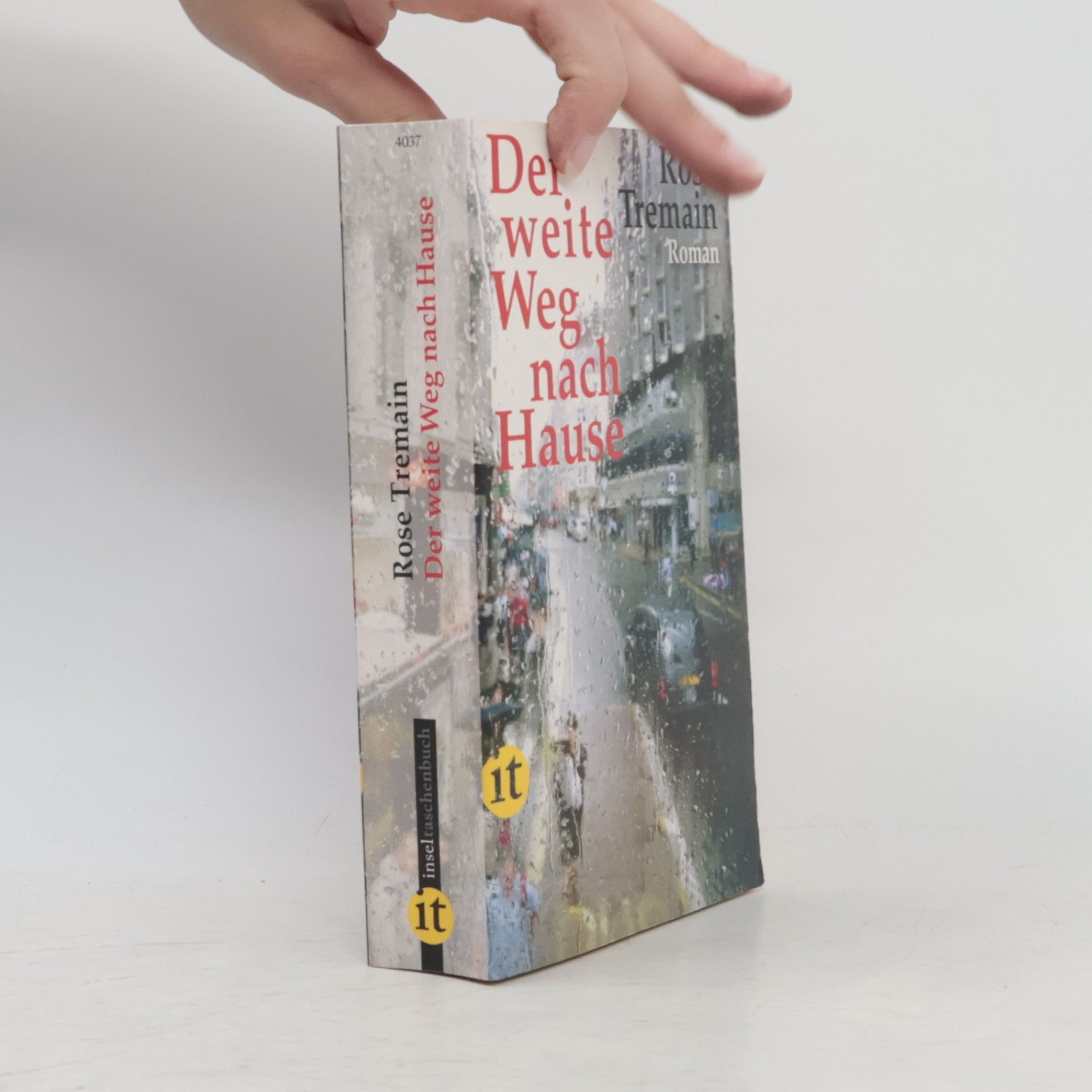 Rose Tremain Der weite Weg nach Hause