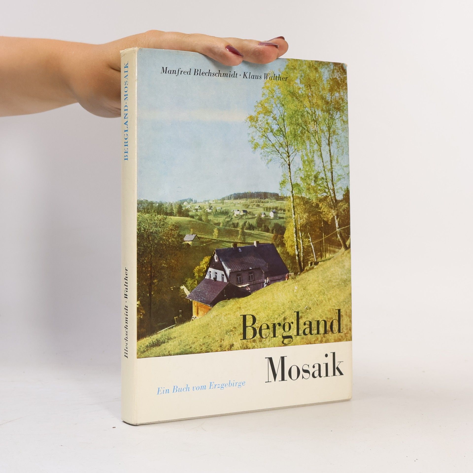 Auteurscollectief Bergland Mosaik
