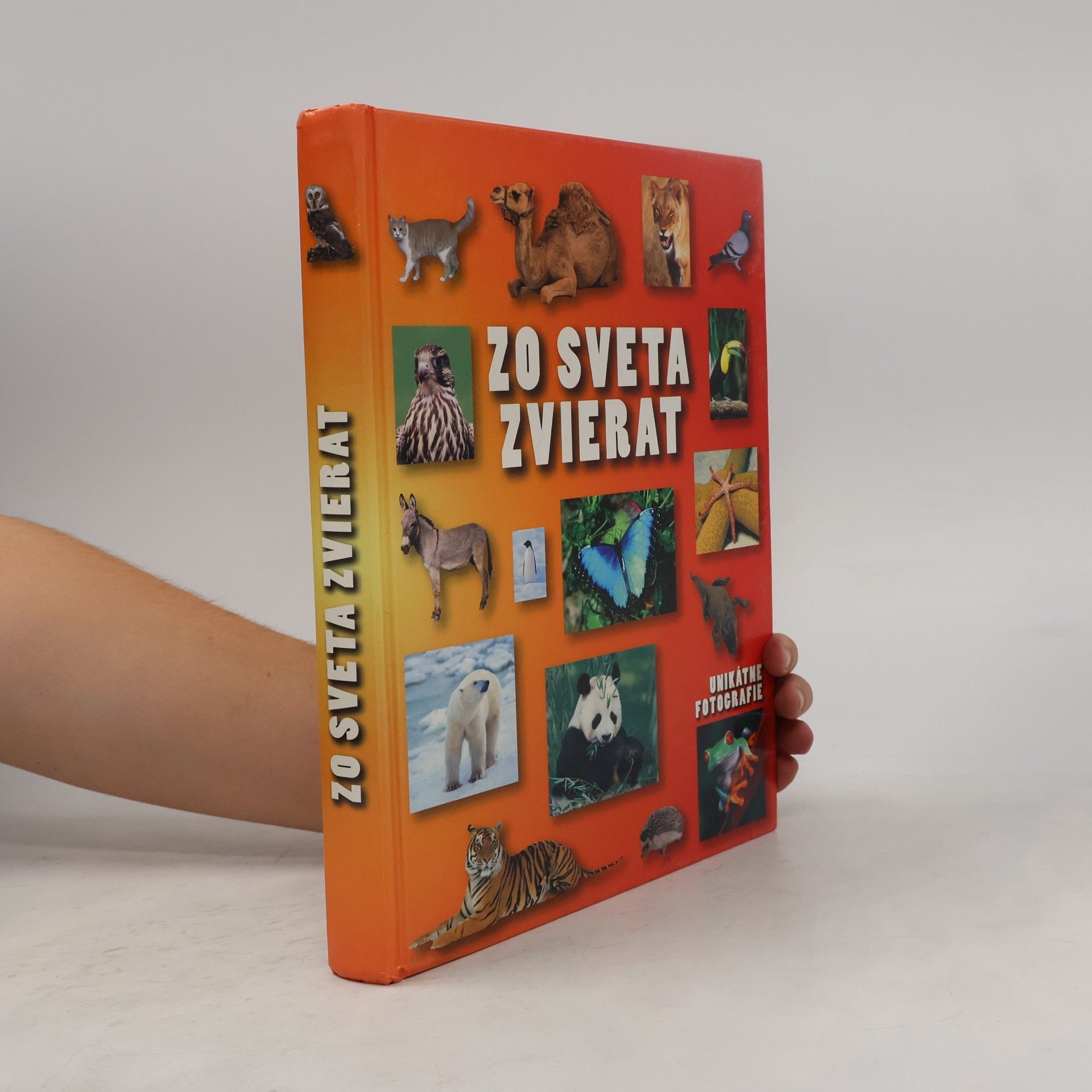 Autores varios Zo sveta zvierat