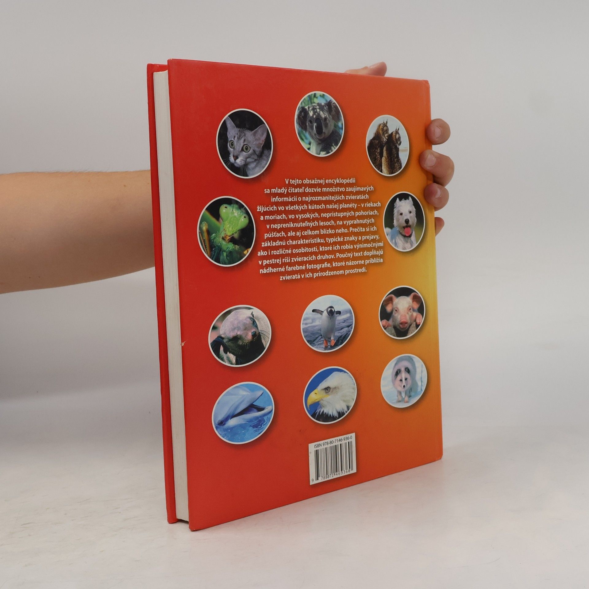 Autores varios Zo sveta zvierat