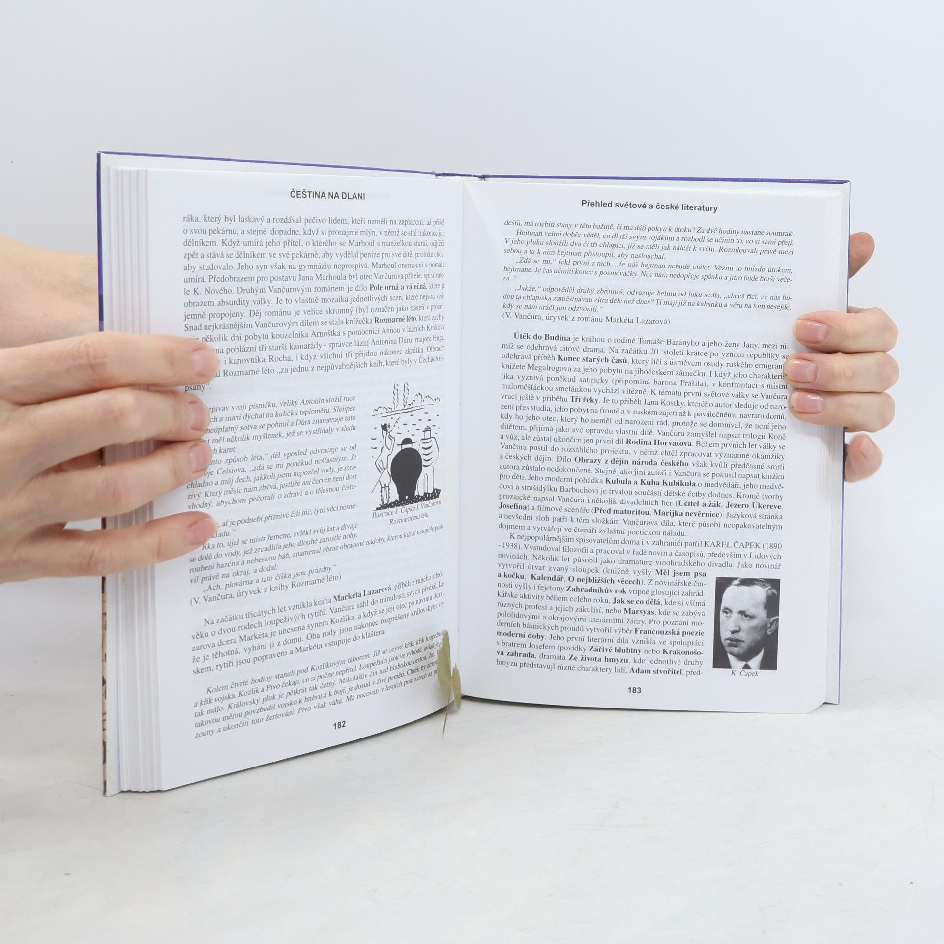 Alois Bauer Čeština na dlani. Přehled světové a české literatury