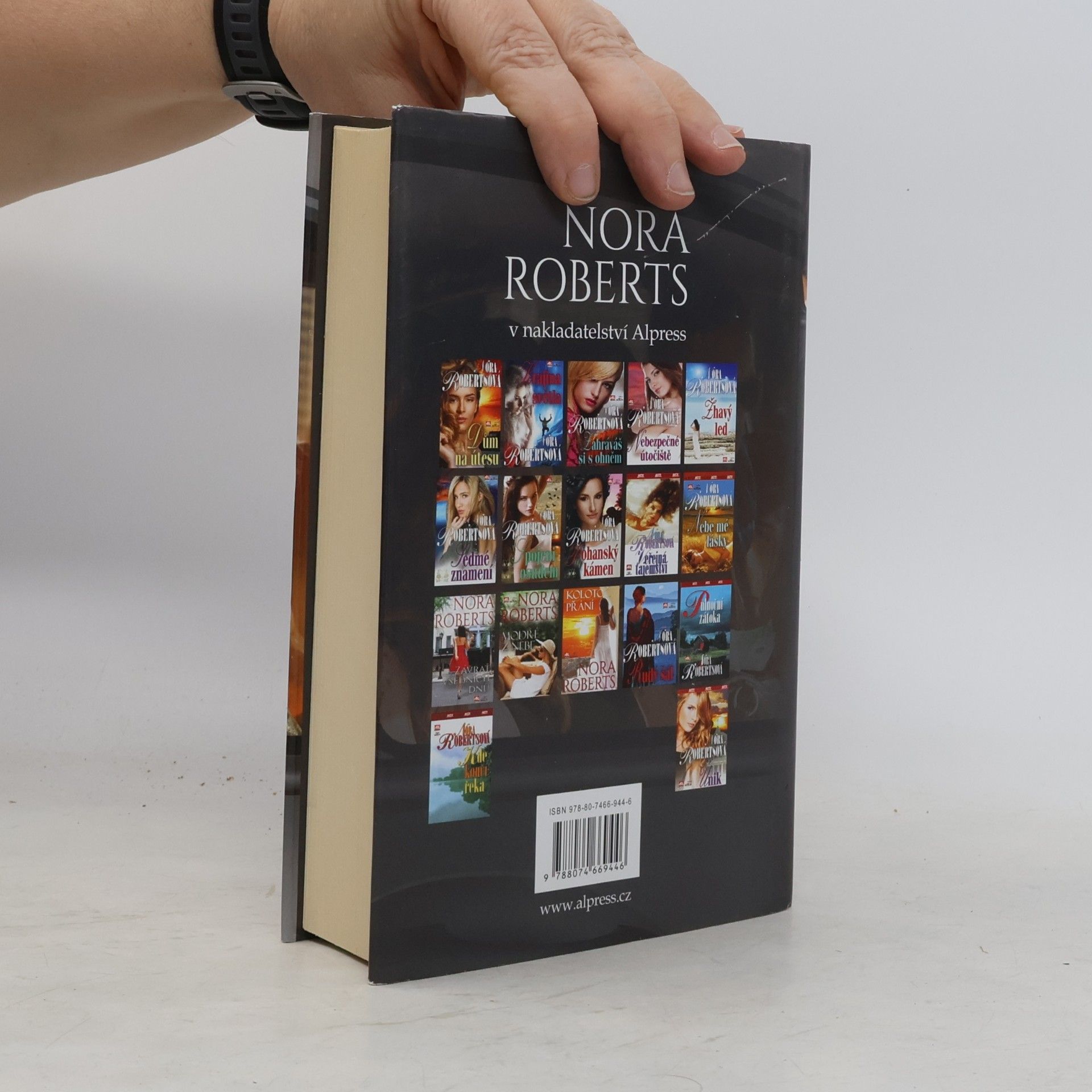 Nora Roberts Kdo chce víc