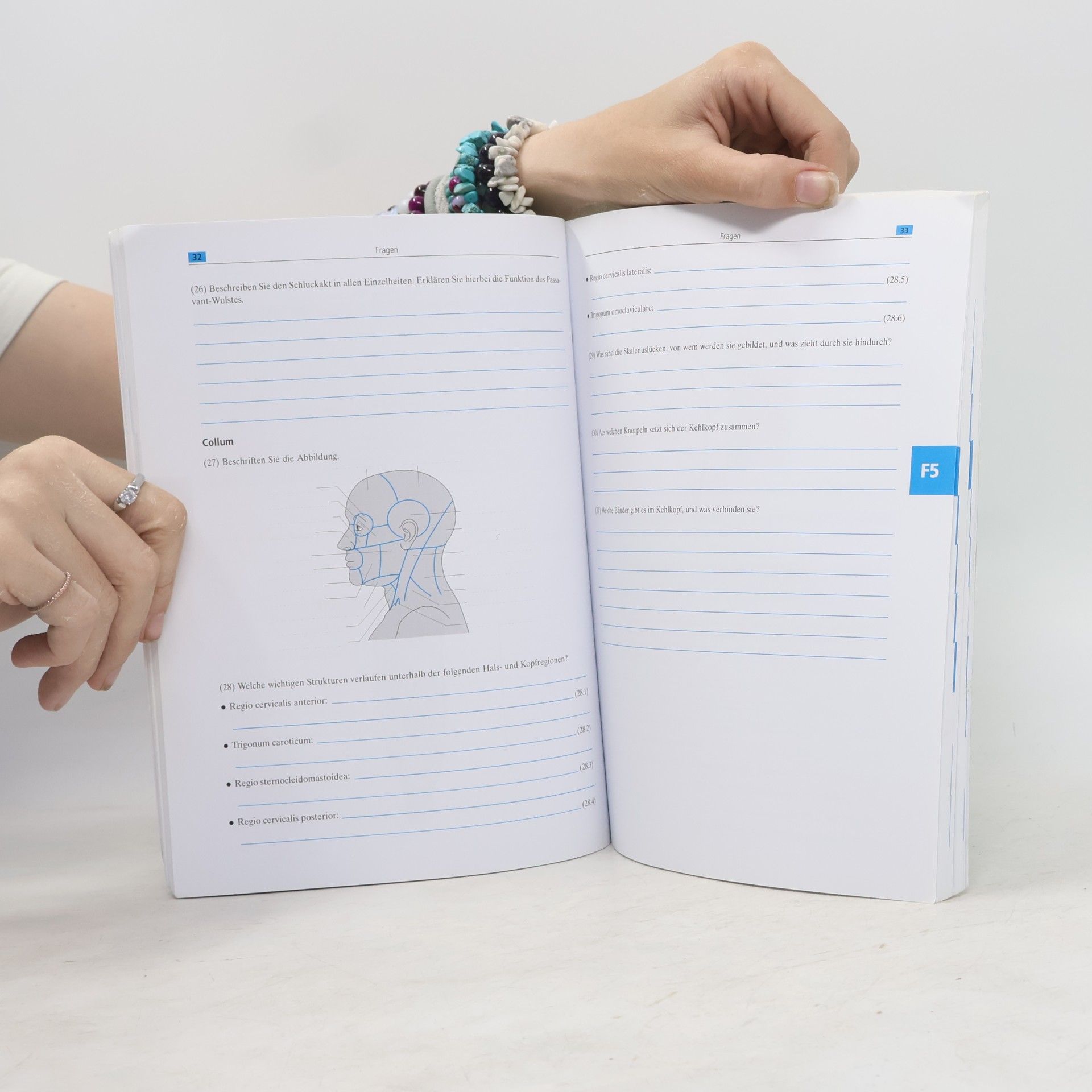 Hellmuth Michels Prüfungstraining Anatomie