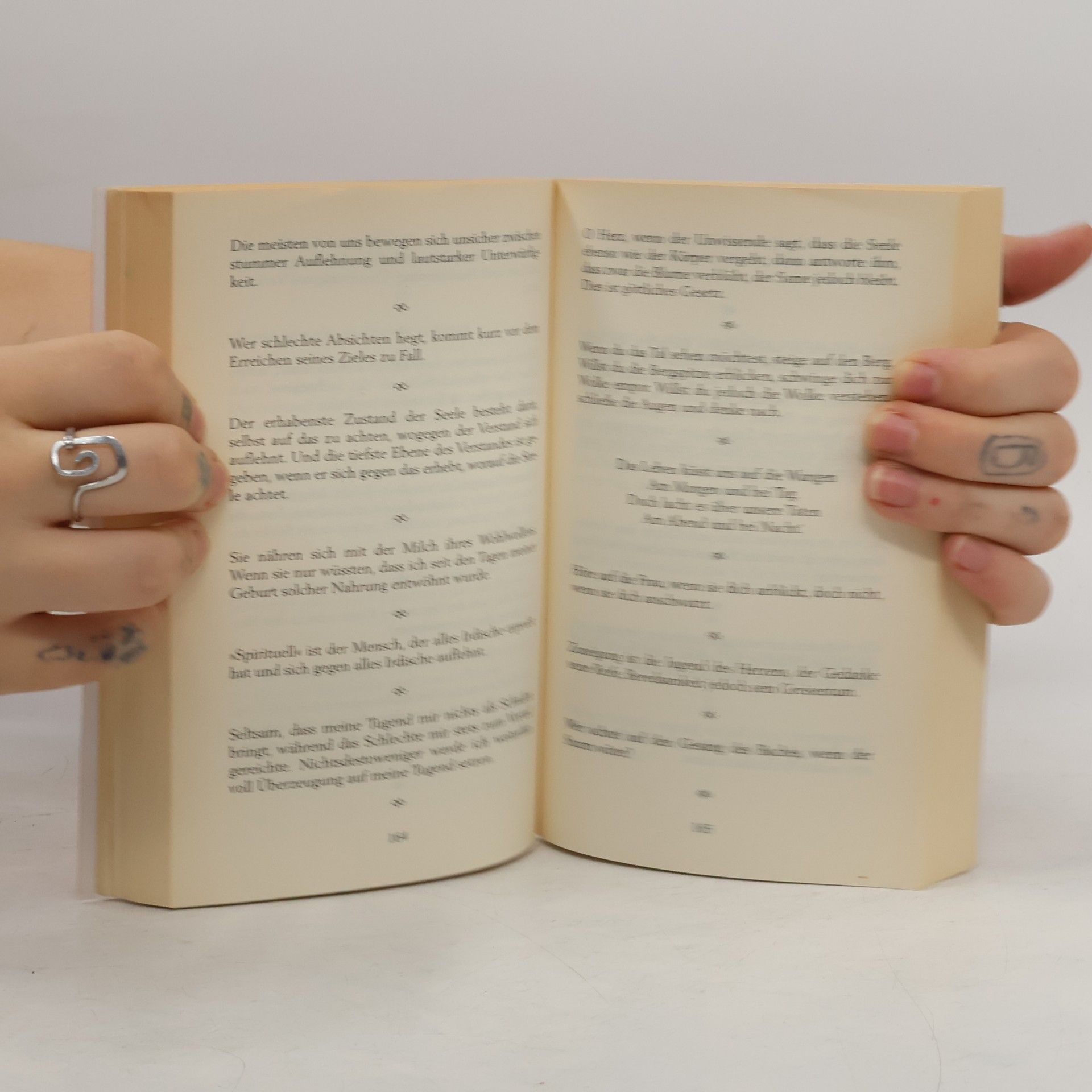H̱alīl Ǧibrān Das neue Khalil-Gibran-Lesebuch. Unbekannte Texte, Aphorismen und Gedichte