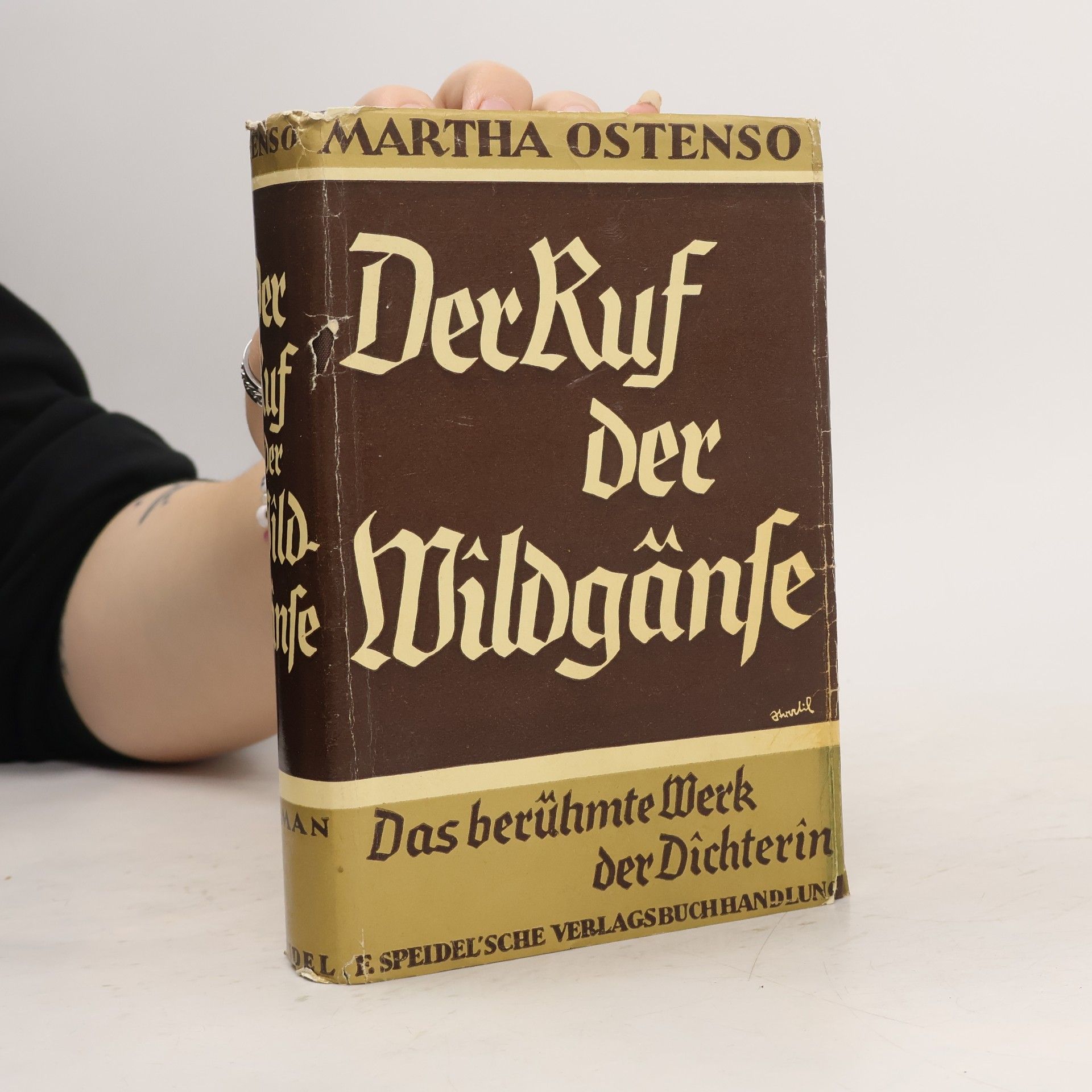 Martha Ostenso Der Ruf der Wildgänse