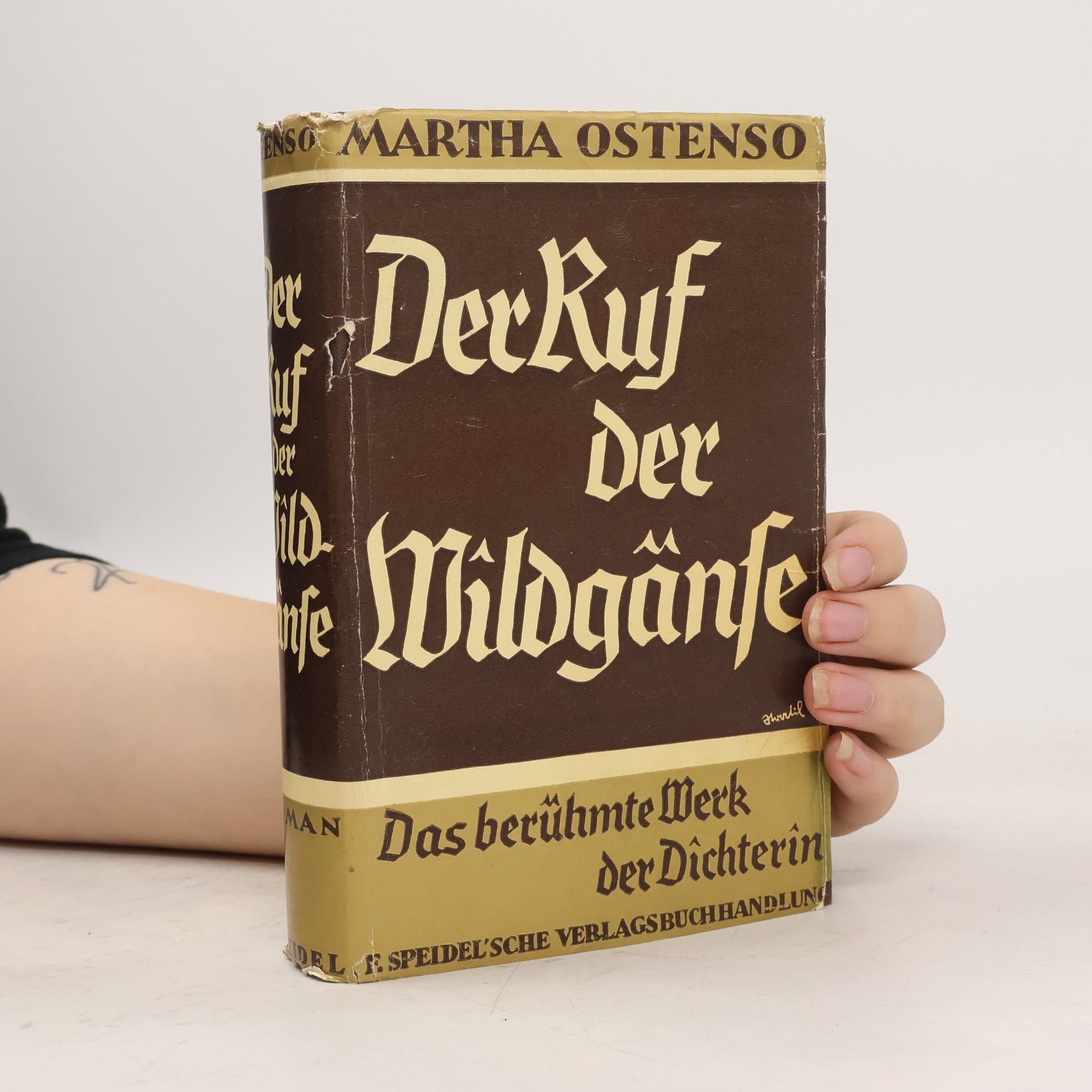 Martha Ostenso Der Ruf der Wildgänse